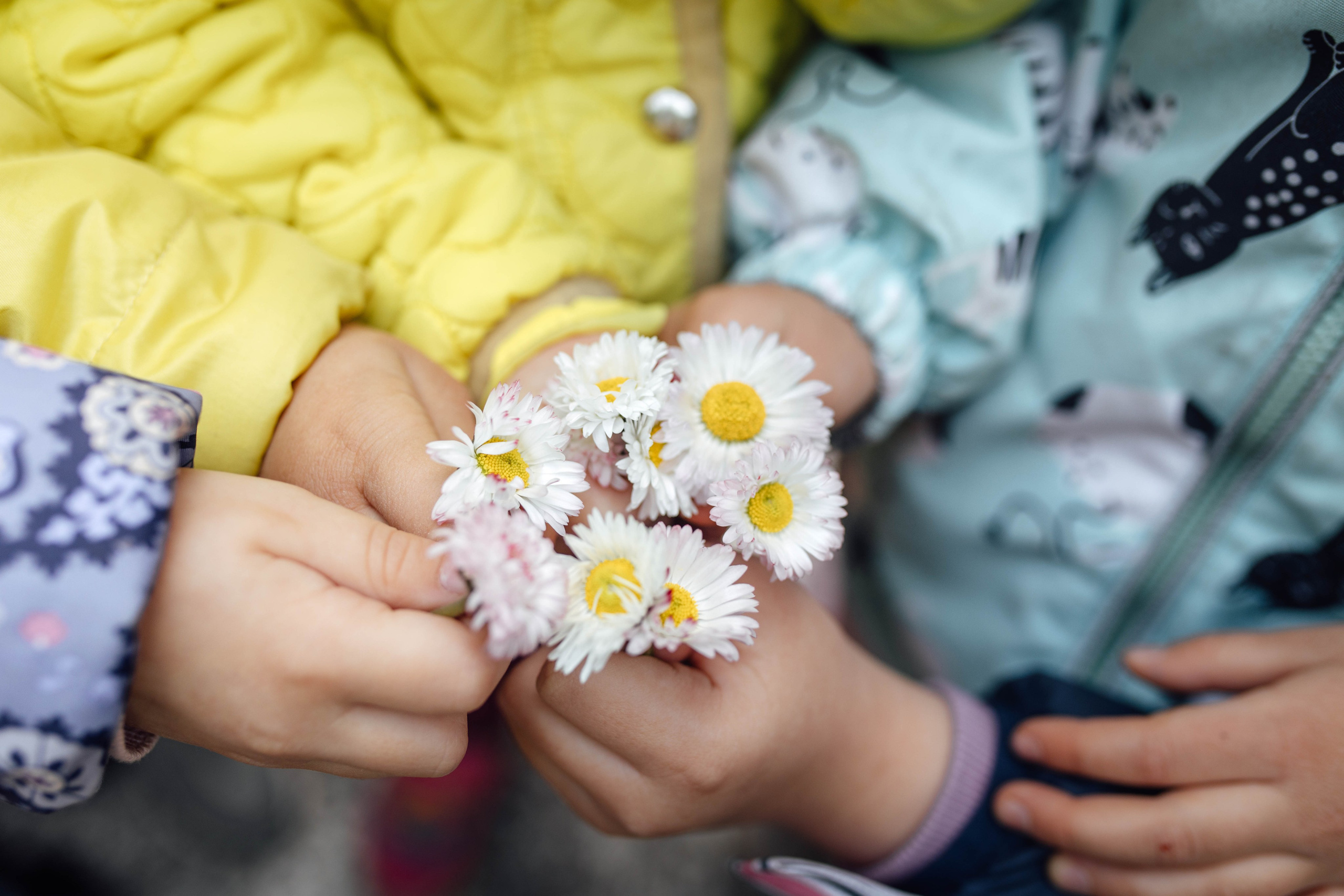 Выпускной ДС 410, май 2025