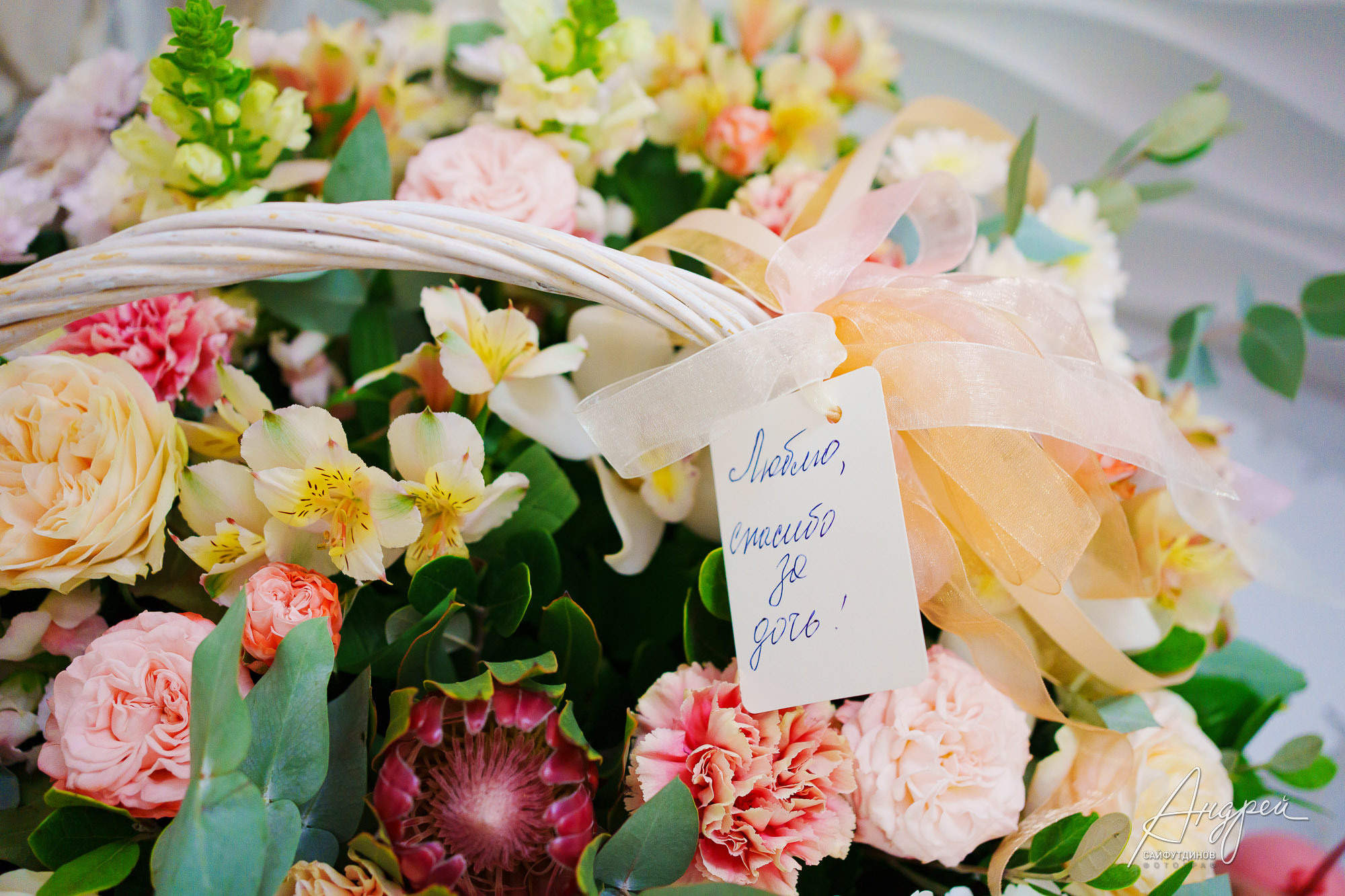 Выписка Эмилии👼 Когда папа за множество километров от дома. Свадебный и семейный фотограф в Ростове-на-Дону. Андрей Сайфутдинов