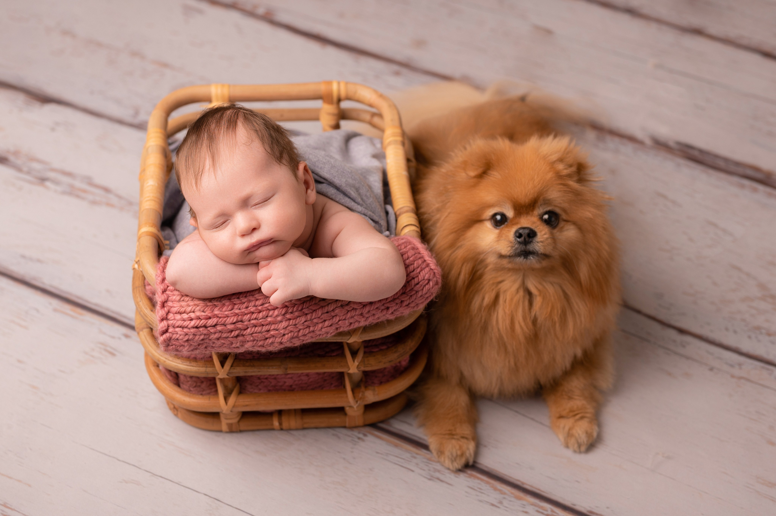 Новорожденные. Фотограф новорожденных в Санкт-Петербурге Татьяна Тарасенко