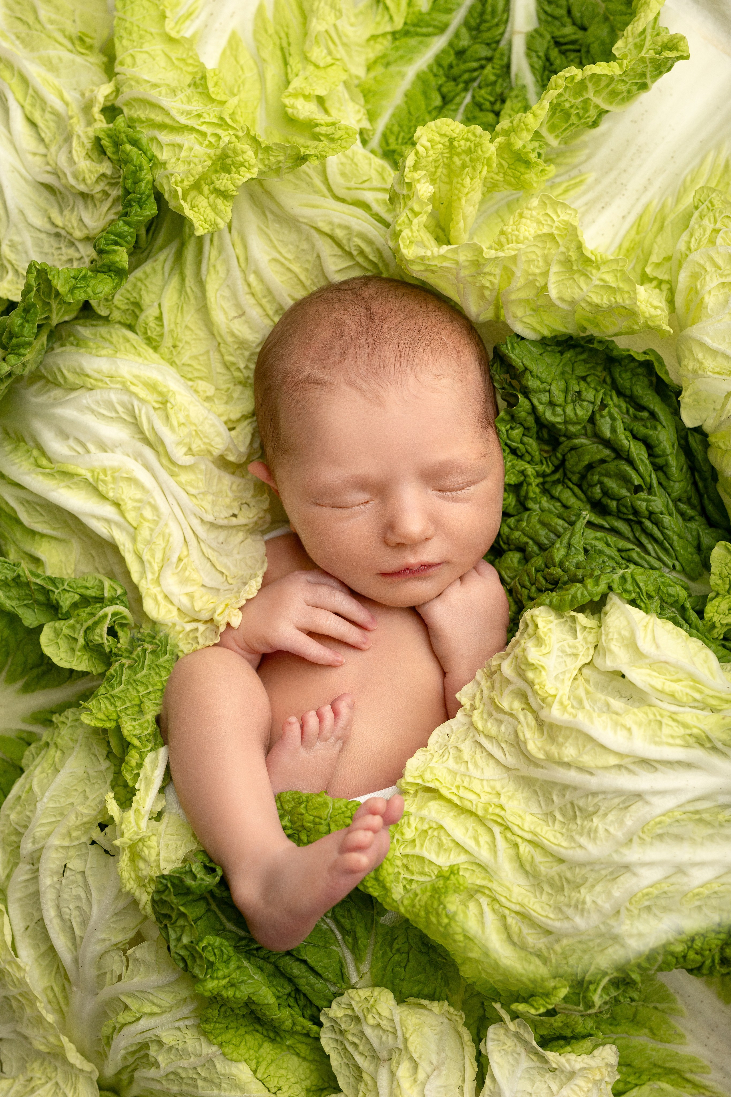 Фотосессия малыша Екатеринбург. Фотосессия новорождённого Екатеринбург. Фотограф newborn Екатеринбург. Фотограф новорожденных Екатеринбург. Фотограф Екатеринбург. Фотосессия Екатеринбург. Фотосессия под ключ Екатеринбург 