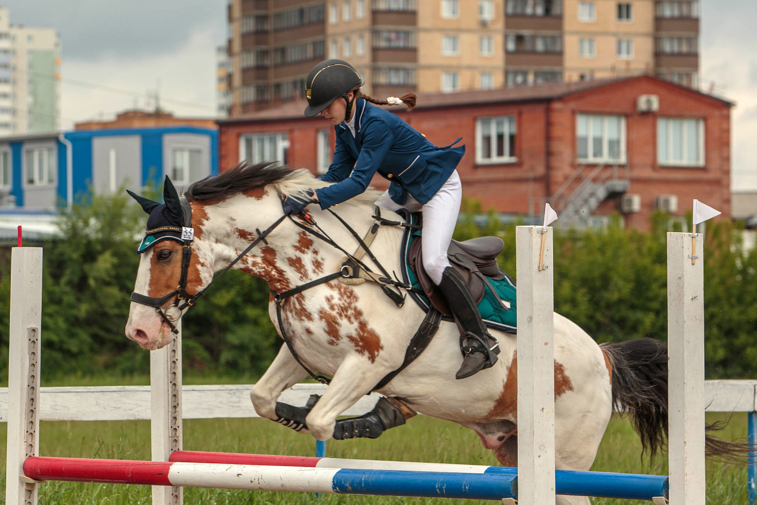 2024. Конный фотограф в Красноярске — Любовь Похабова