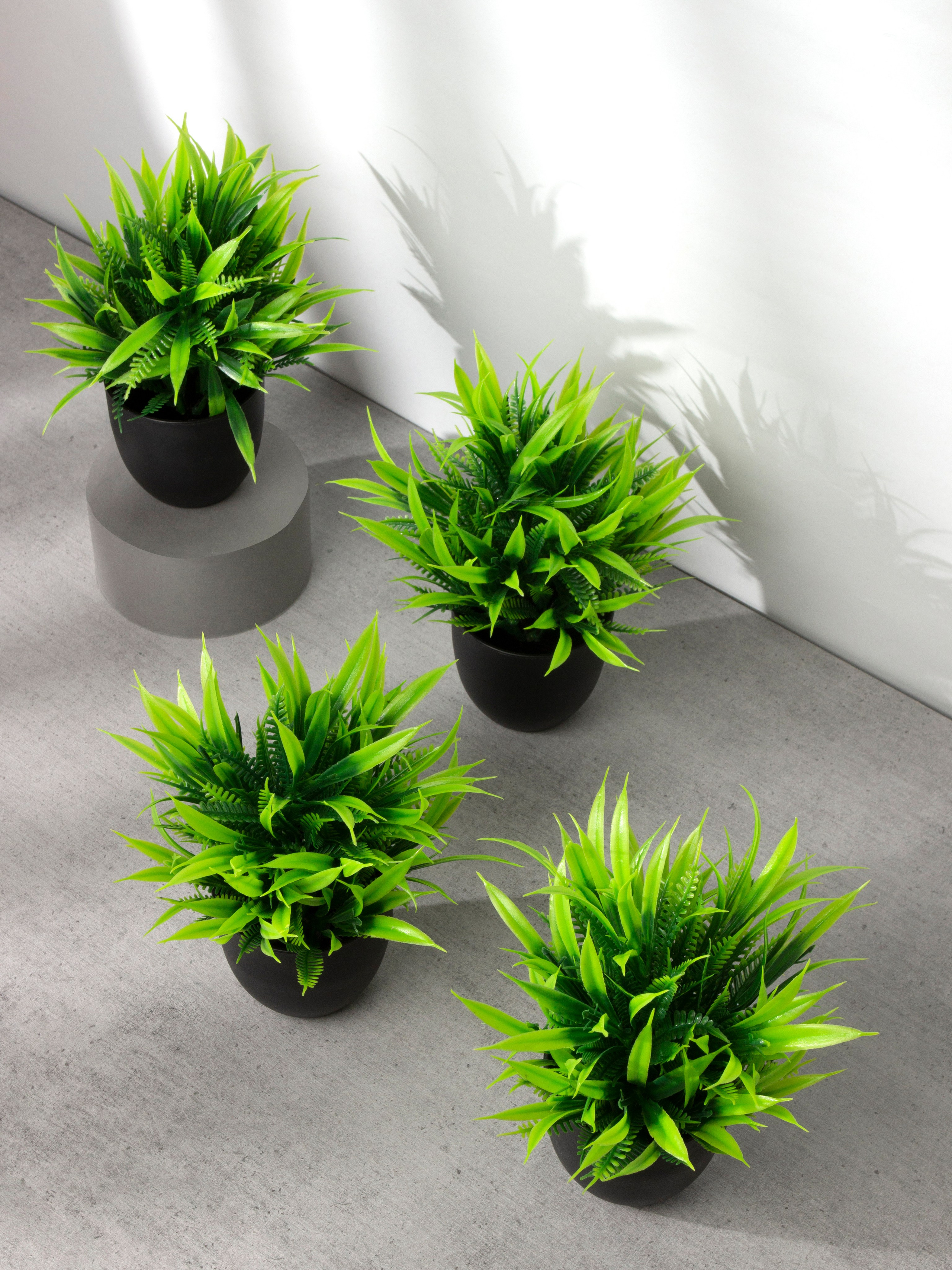 Декор для дома. Фотограф Злата Спицына