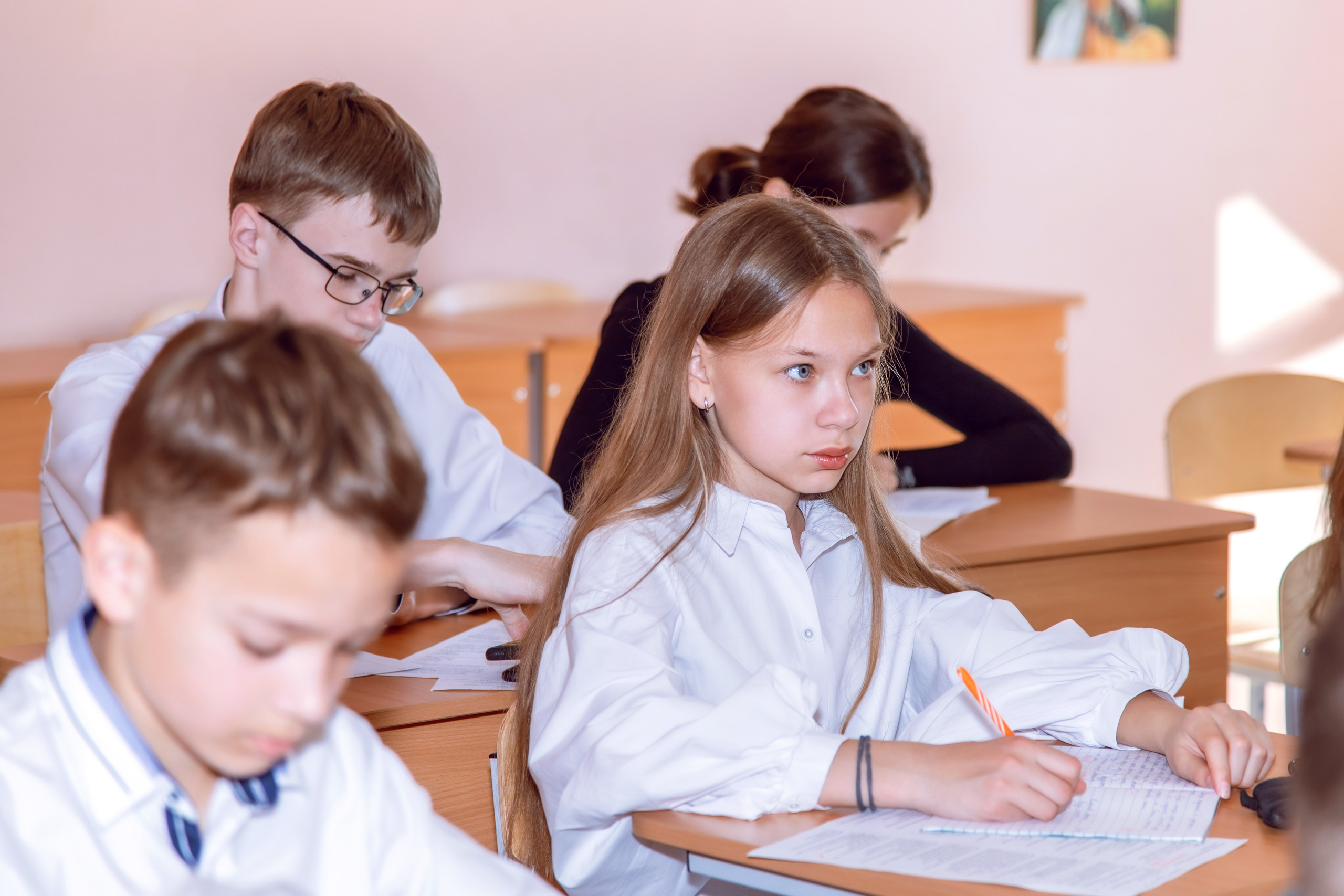 СТАРШИЕ КЛАССЫ. Фотограф Алина Лебедь