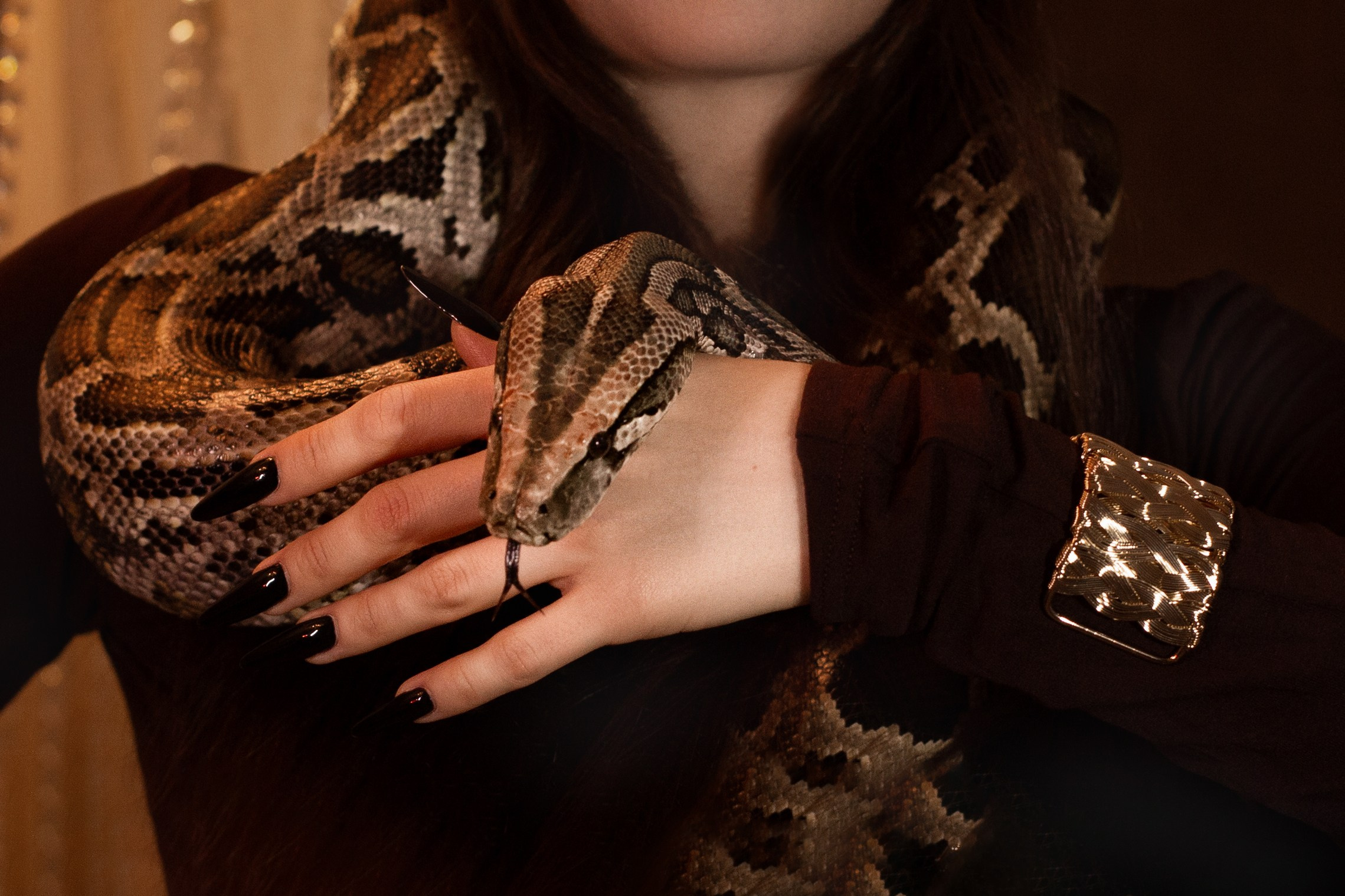 Женская фотосессия с настояшим питоном в студии Ставрополя. Фотограф Ставрополь Пятигорск Елизавета Дарина
