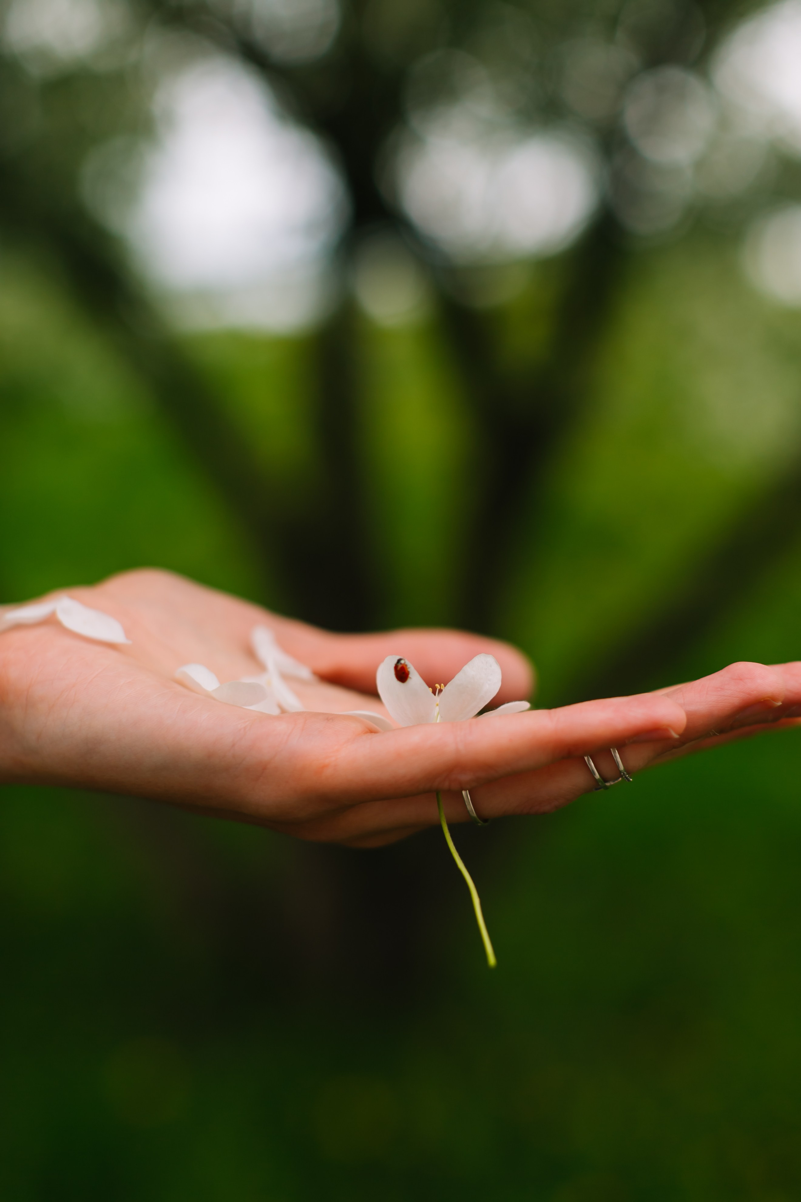 Алёна. Семейный и детский фотограф в Новосибирске Алёна Малахова