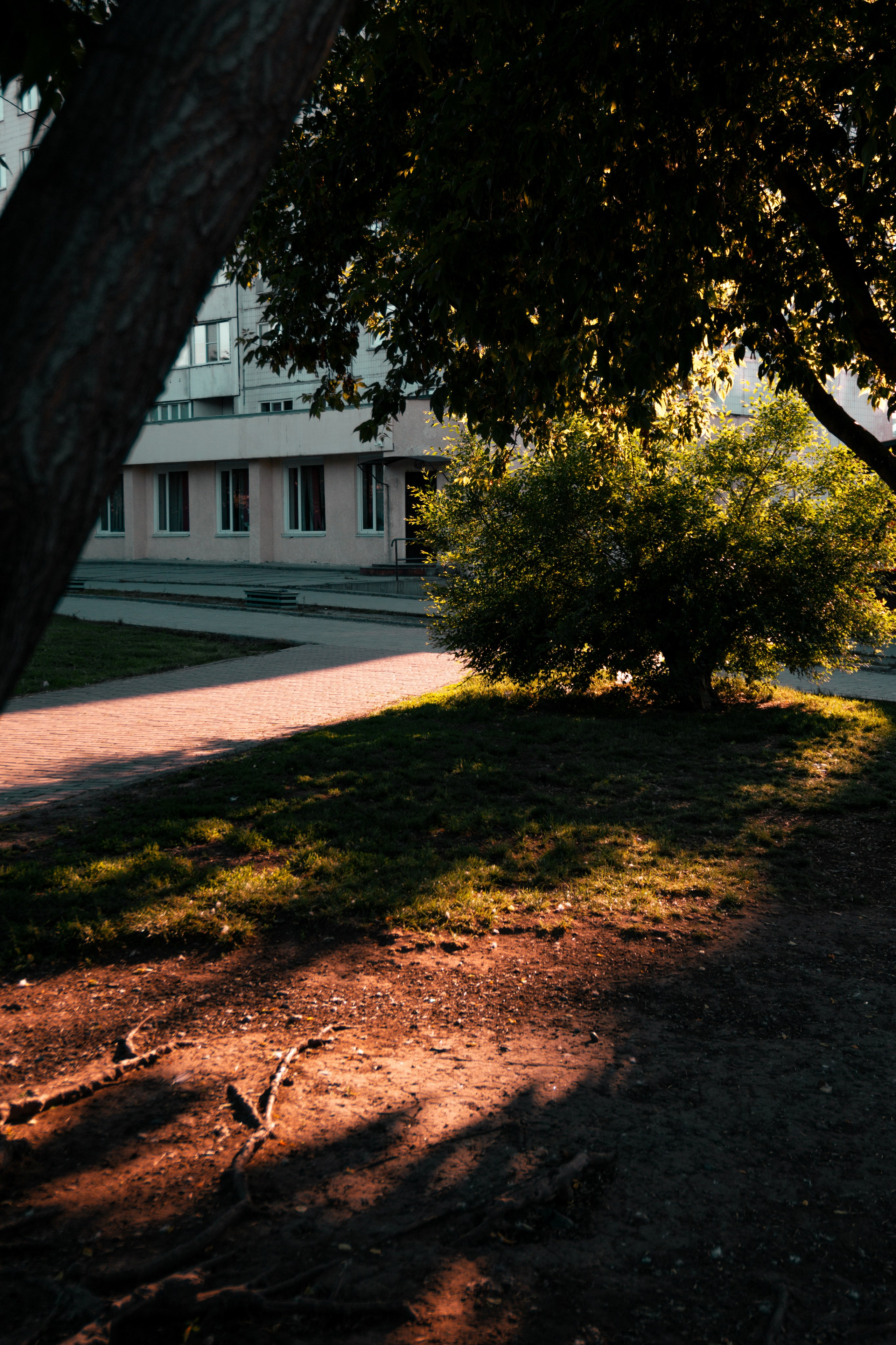 06.06.2025 | Сосновоборск. Kuznetsov | Фотограф в Красноярске