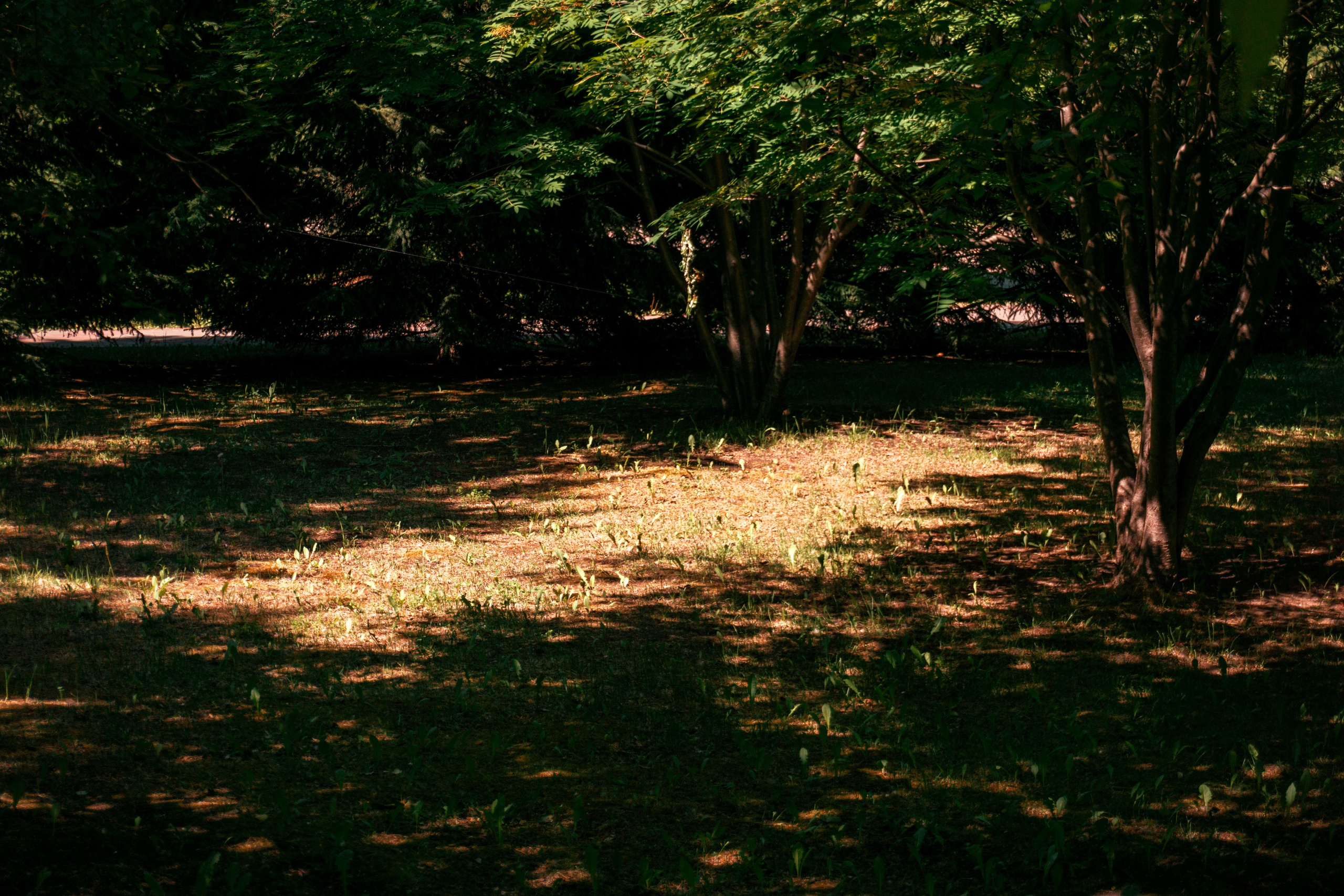 05.06.2025 | Красноярск. Kuznetsov | Фотограф в Красноярске