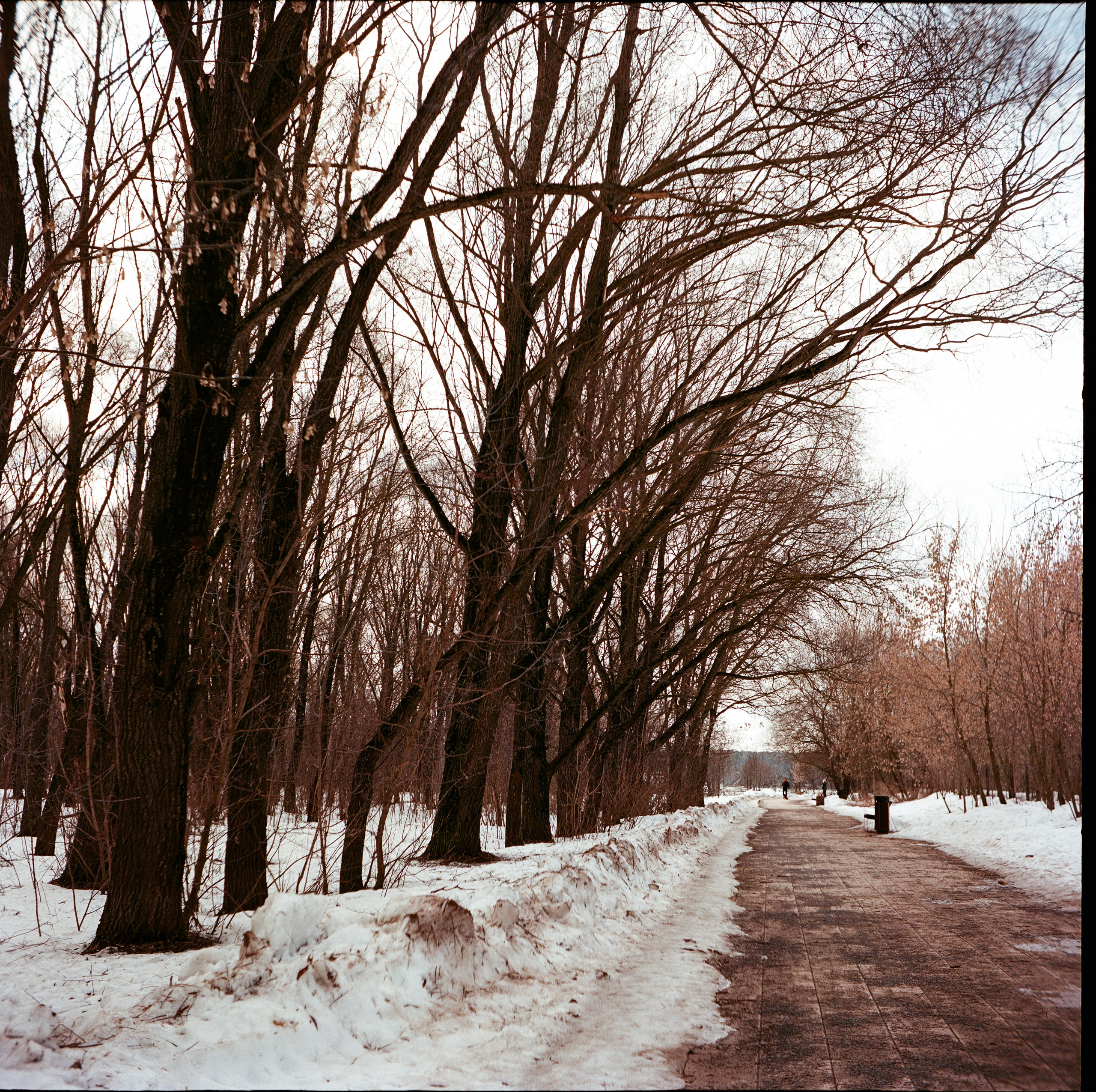 Walzflex с объективом Nitto Kogaku Kominar 75 mm f/3.5 / Aerocolor IV