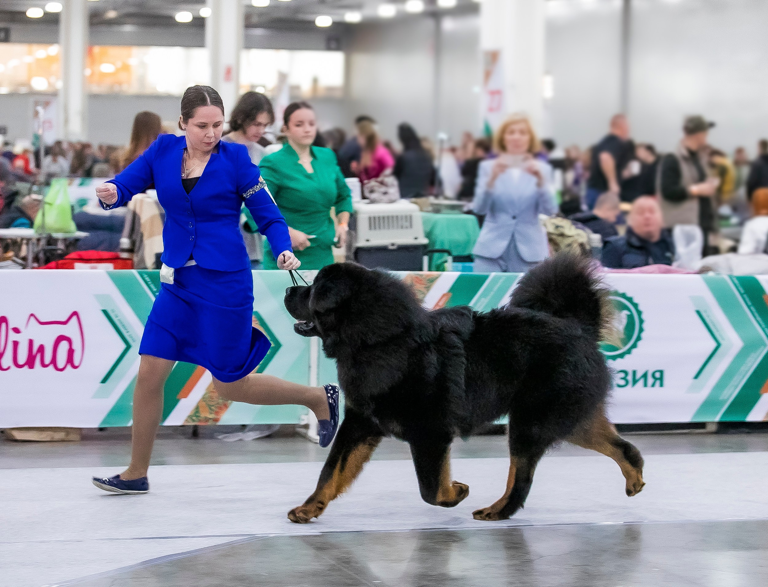 Авторские пресеты для обработки фото. Фотограф — видеограф Алиса Дружинина
