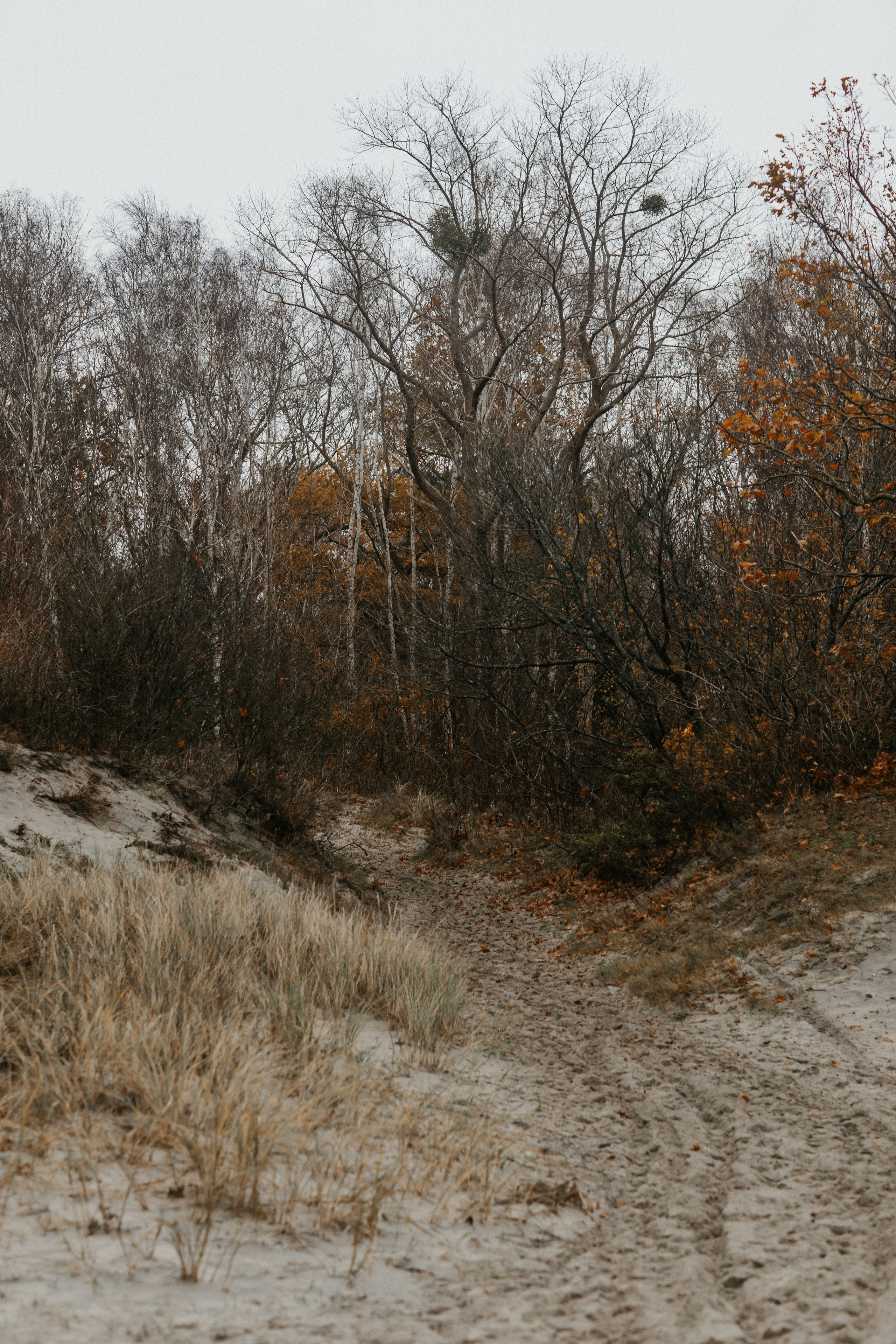 Фотосессия в Балтийске. Свадебный и семейный фотограф/видеограф в Краснодаре Наталья Осинская