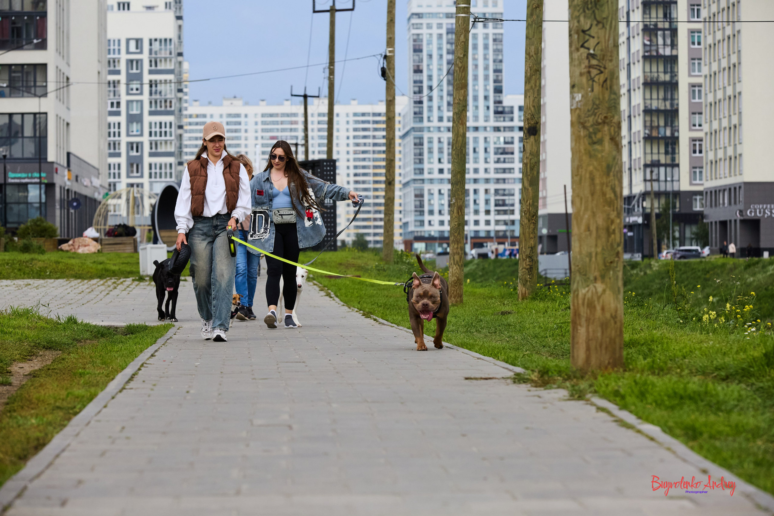 Проект фотопрогулка с хвостиком. Buyvolenko Andrey