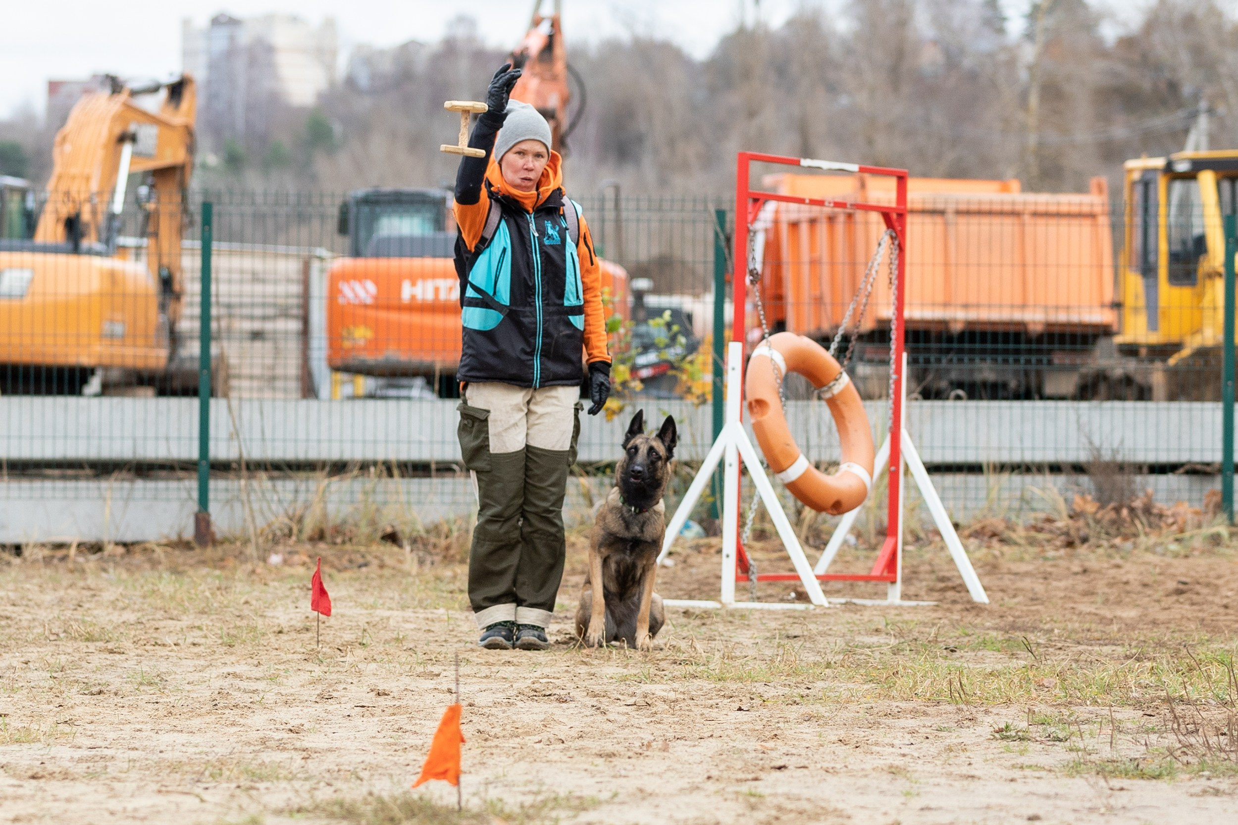 Вера и Чейз на экзамене ОКД. Фотограф-анималист в Калуге Мария Шерскова