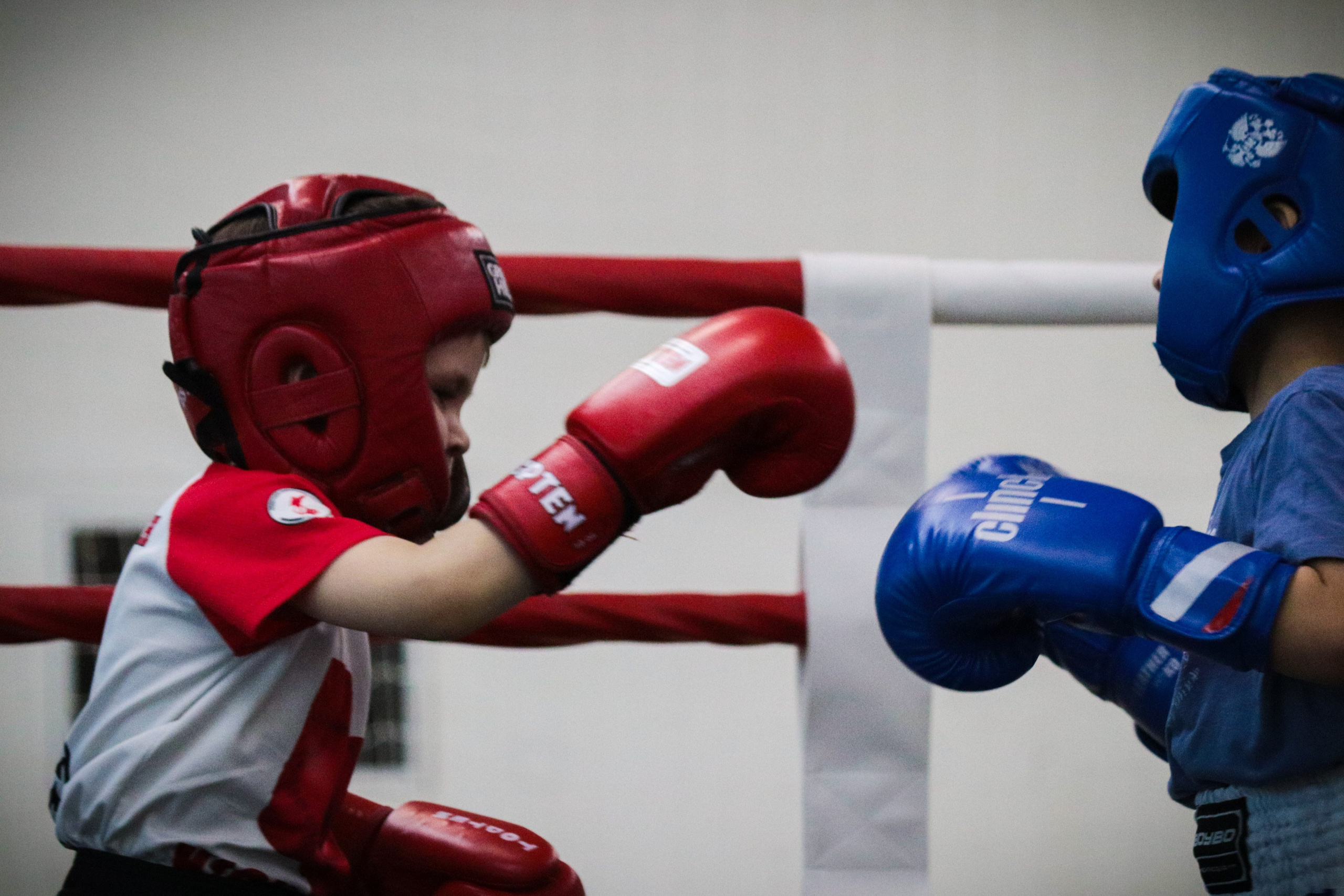 Туртир по кикбоксингу. Фотограф и видеограф в Бугульме Аня Трутнева