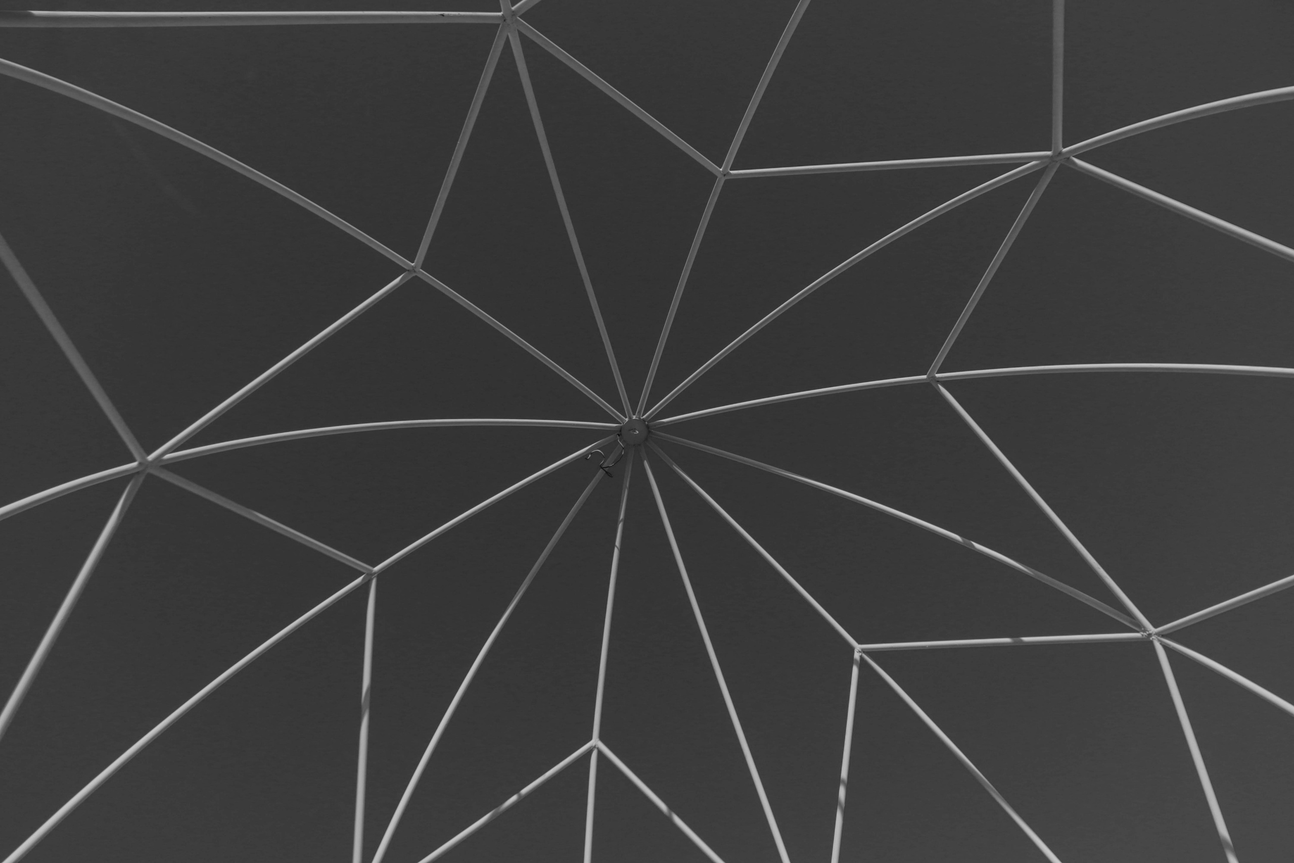 Альметьевск. Фотограф и видеограф в Бугульме Аня Трутнева