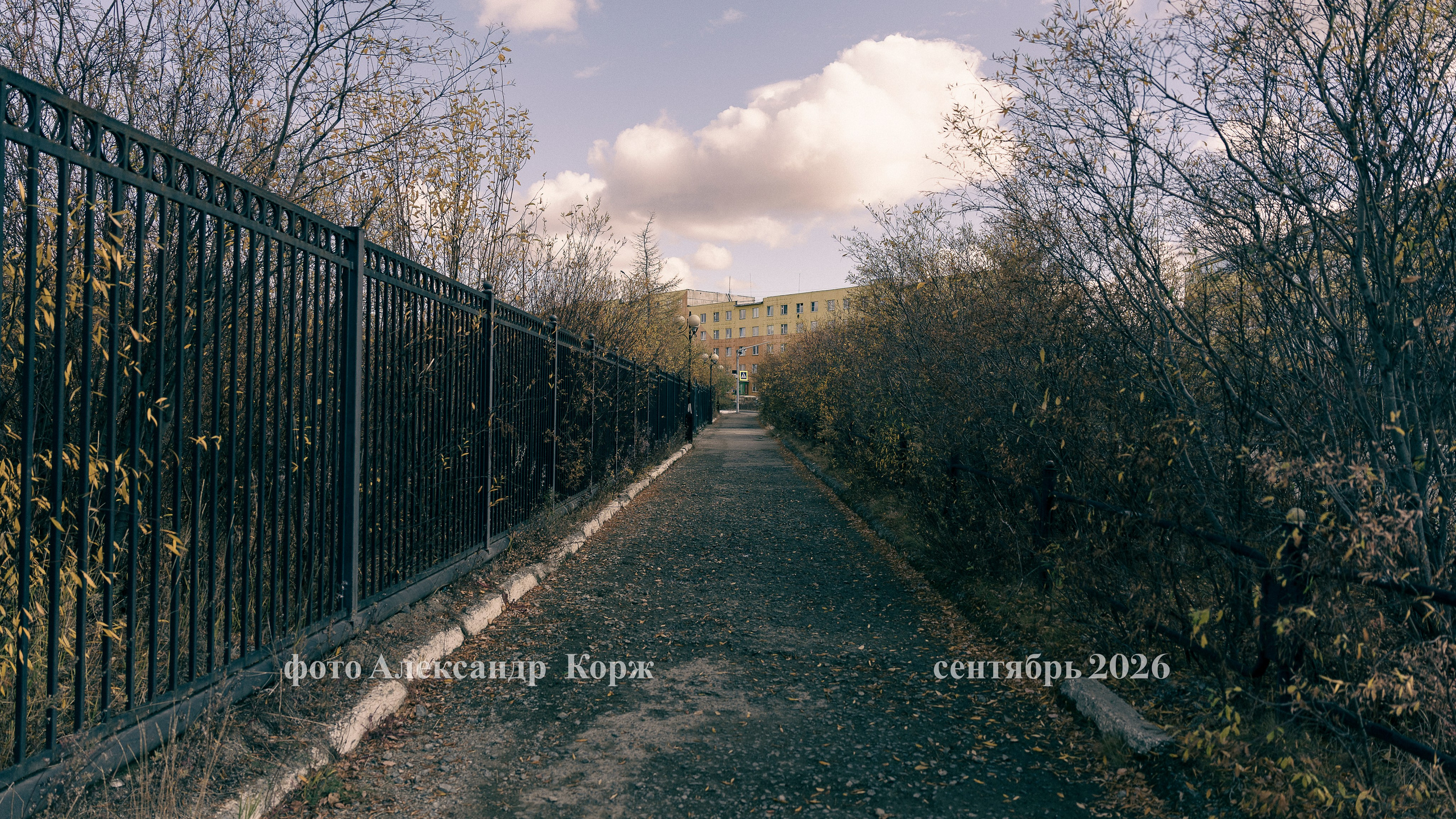 Лето на крайнем севере Якутии (Айхал)