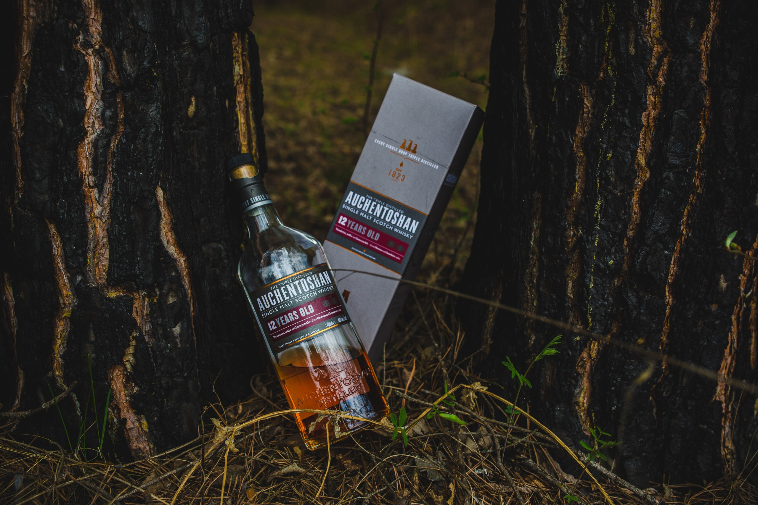 Whisky. Семейный и репортажной фотограф в Красноярске и Москве Виктор Бабинцев