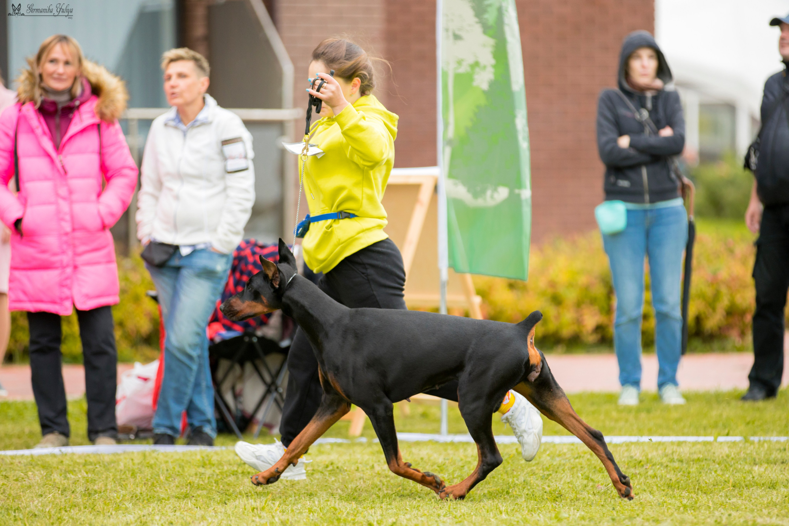 Переславль 9-10.09.2023. Фотограф-анималист Юлия Германика