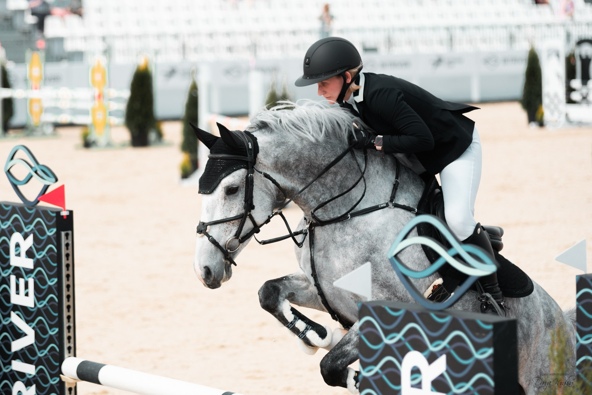 BITRIVER CUP 2023. Конный фотограф Куракина Дарья • Фотосессии с лошадьми