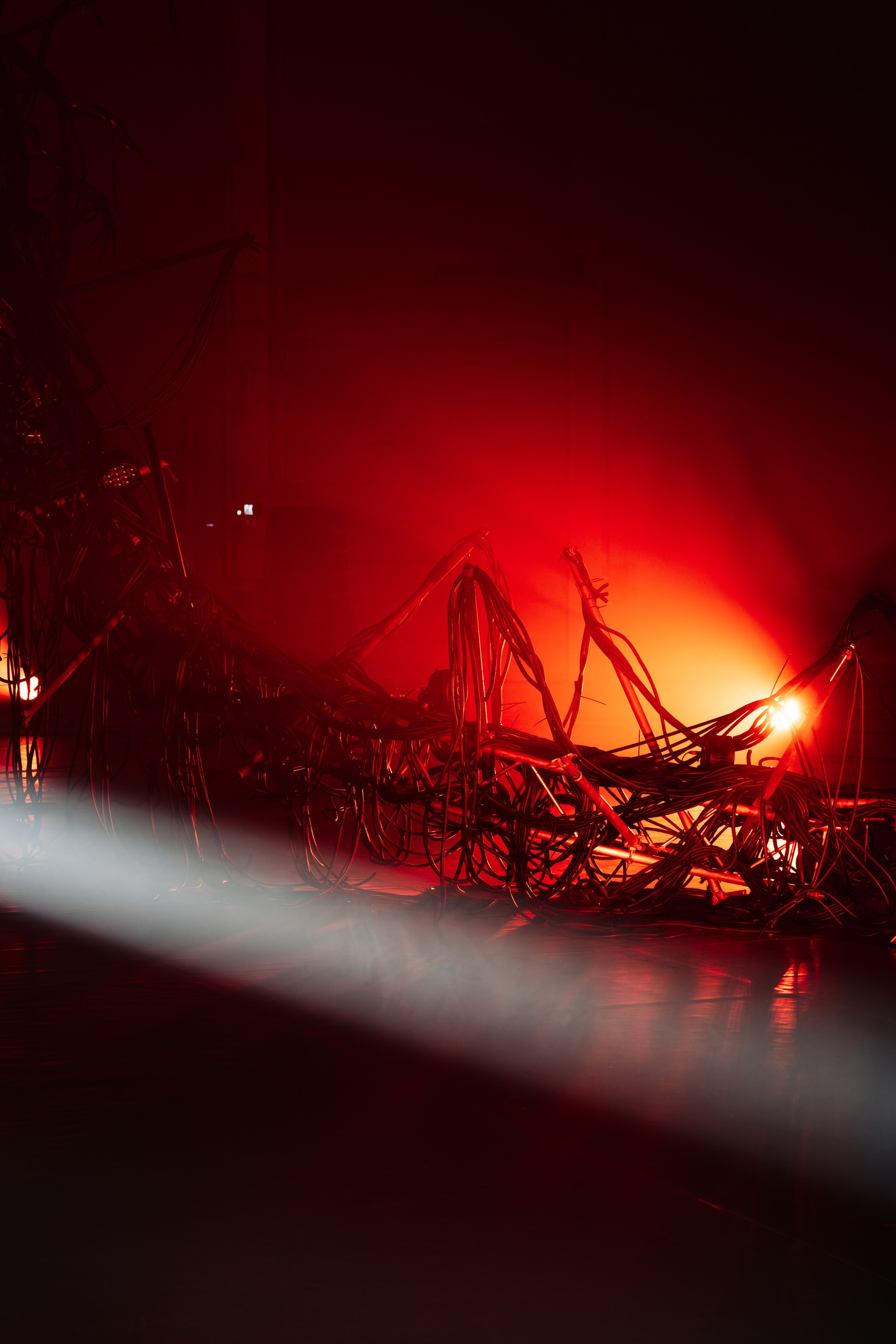 PANTERRA, CHRONOMORPH 001. @tomrus: Рустам Шагиморданов — фотограф