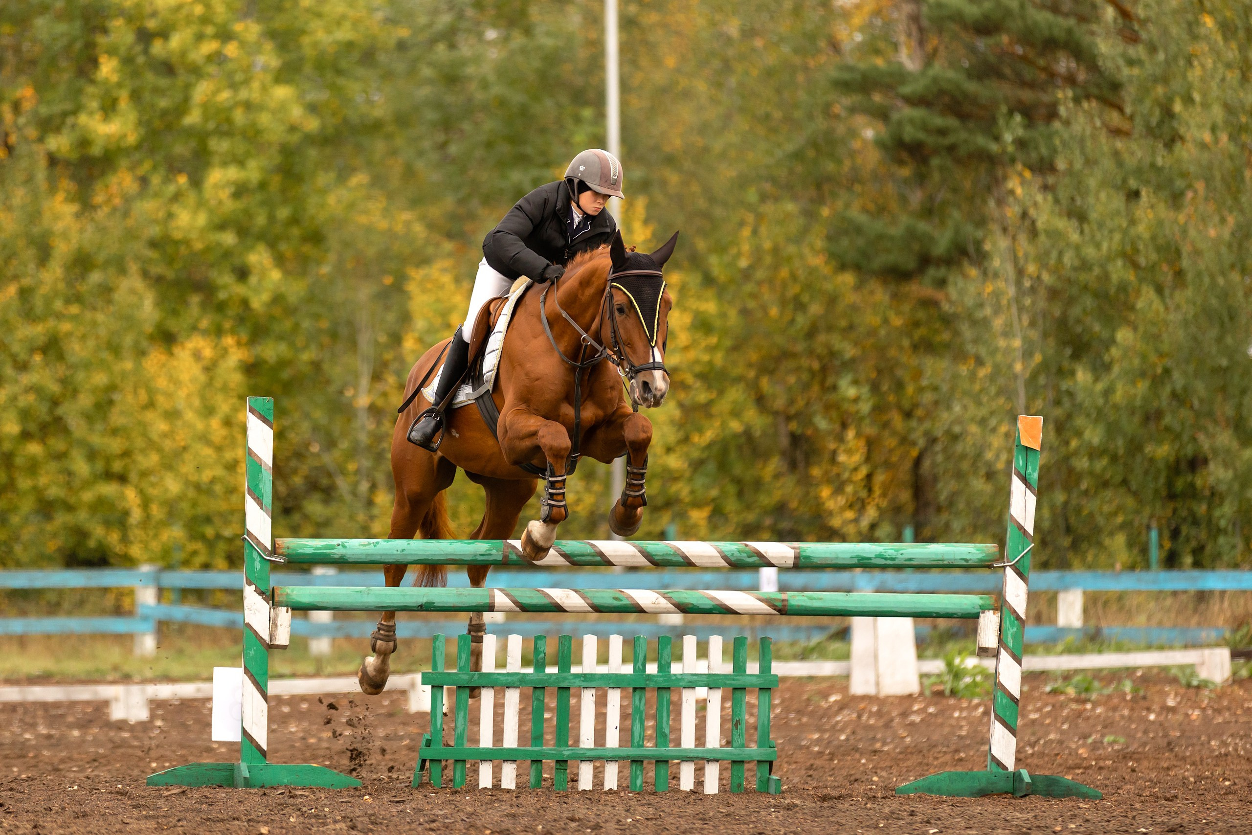 Соревнования по конному спорту. Конный фотограф Валынкина Лера