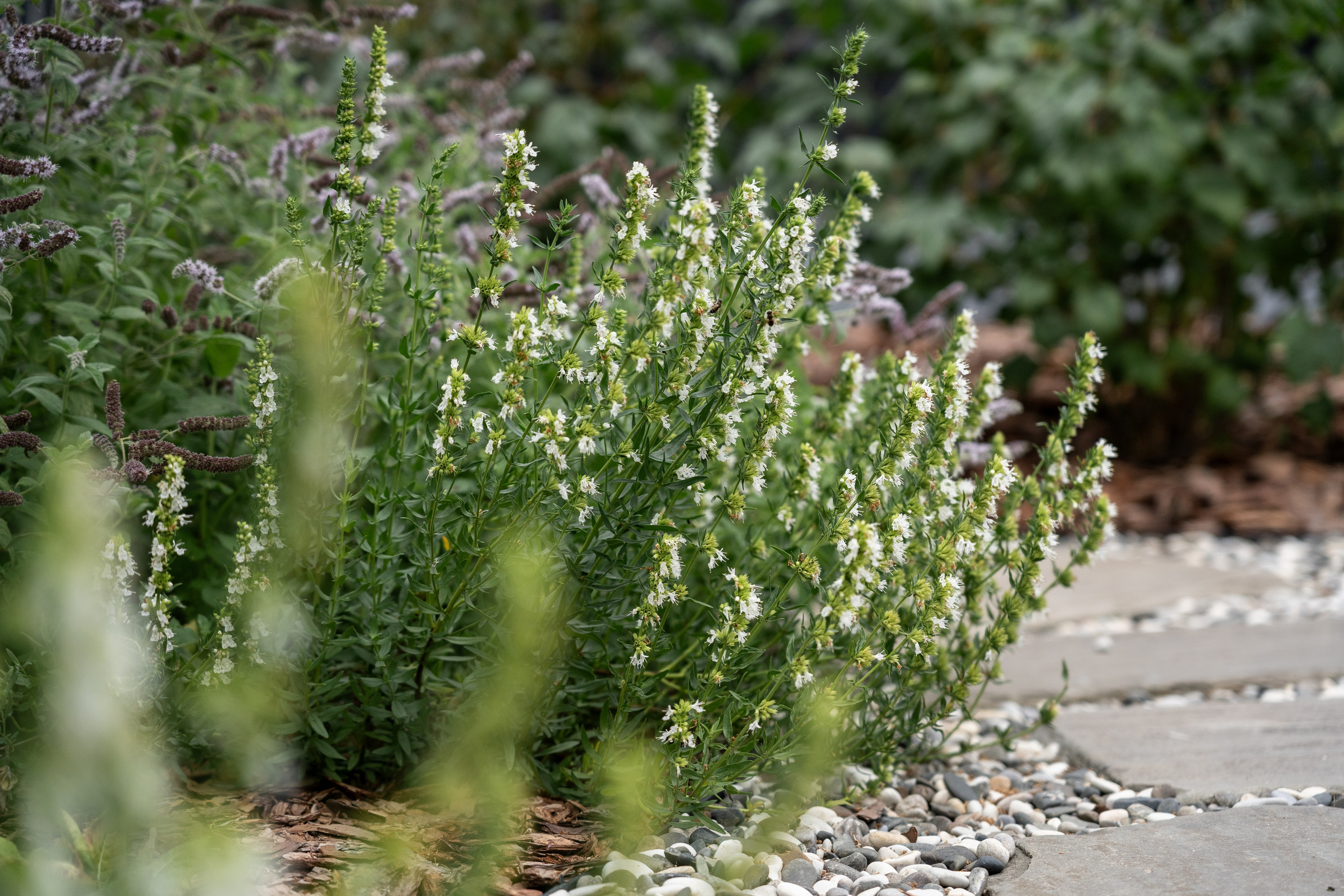 Private house, Moscow region. Артамонов Александр | Архитектурный и ландшафтный фотограф