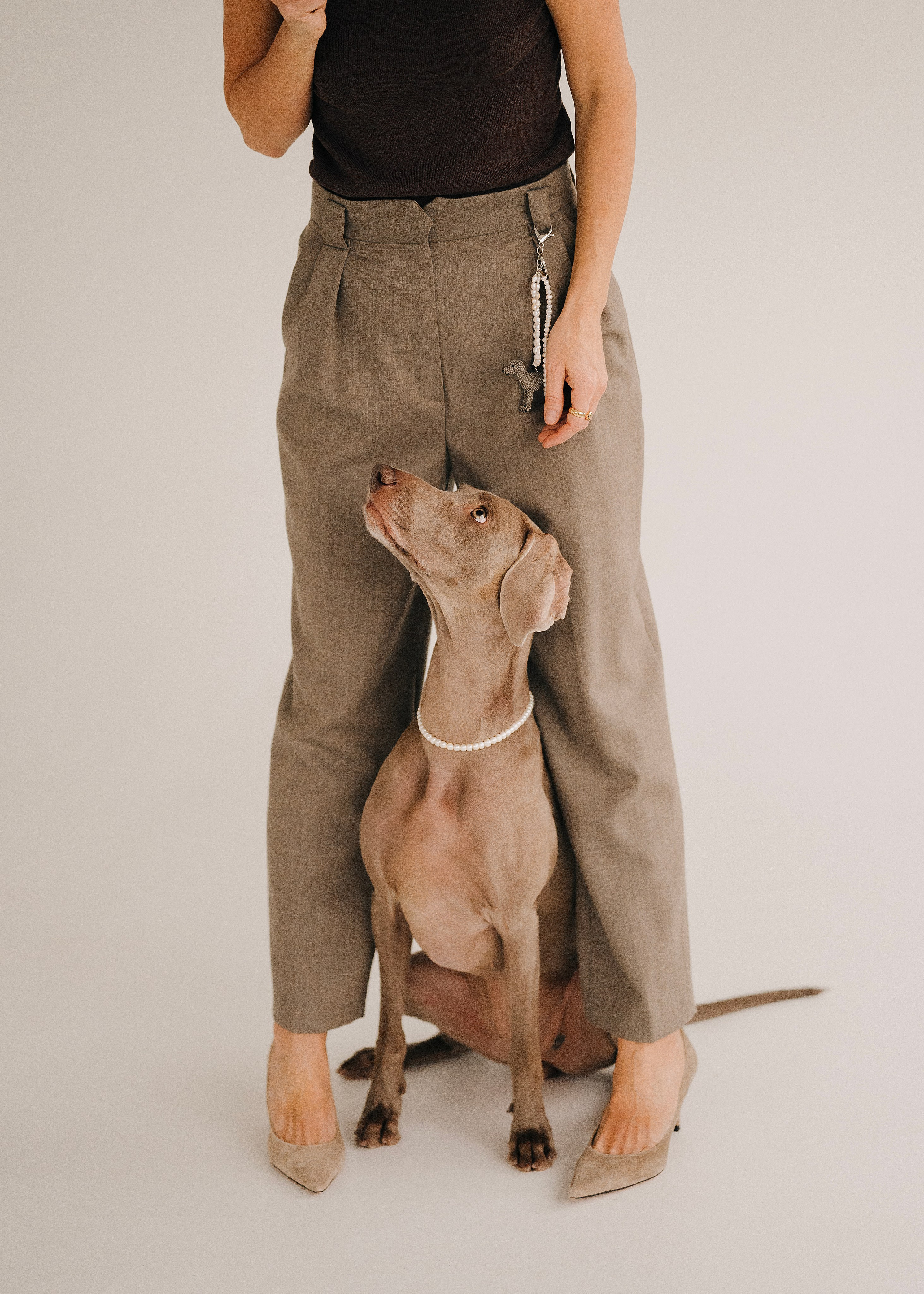 Фани. Фотограф- анималист Александра Матвеева