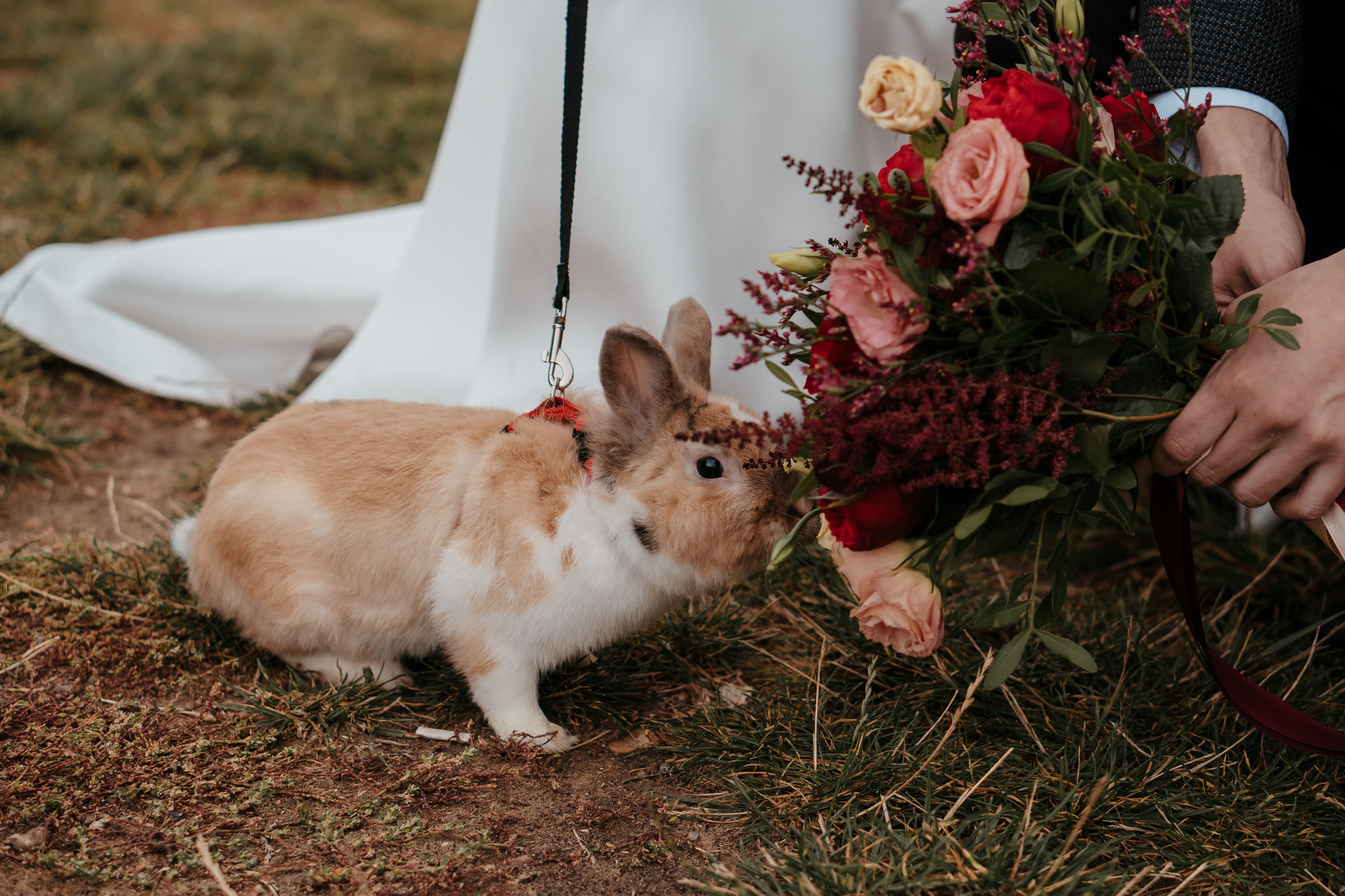 Кирилл и Вика. Свадебный фотограф в Москве