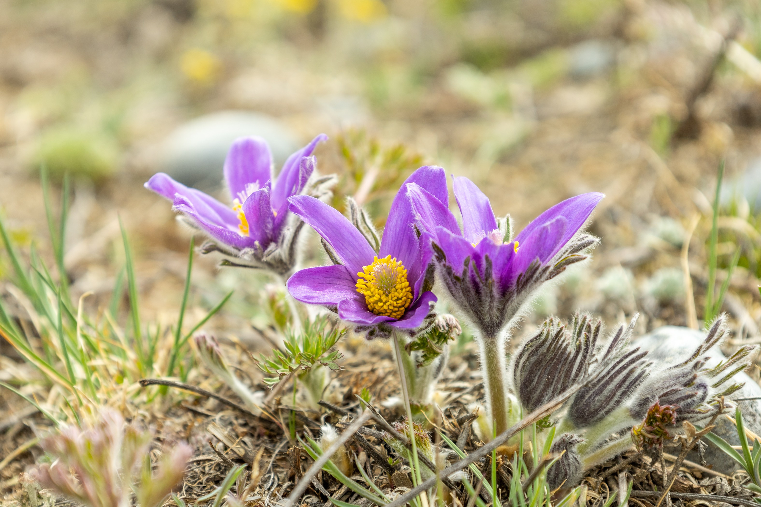 Майские в горах 2023. Gennady Travel