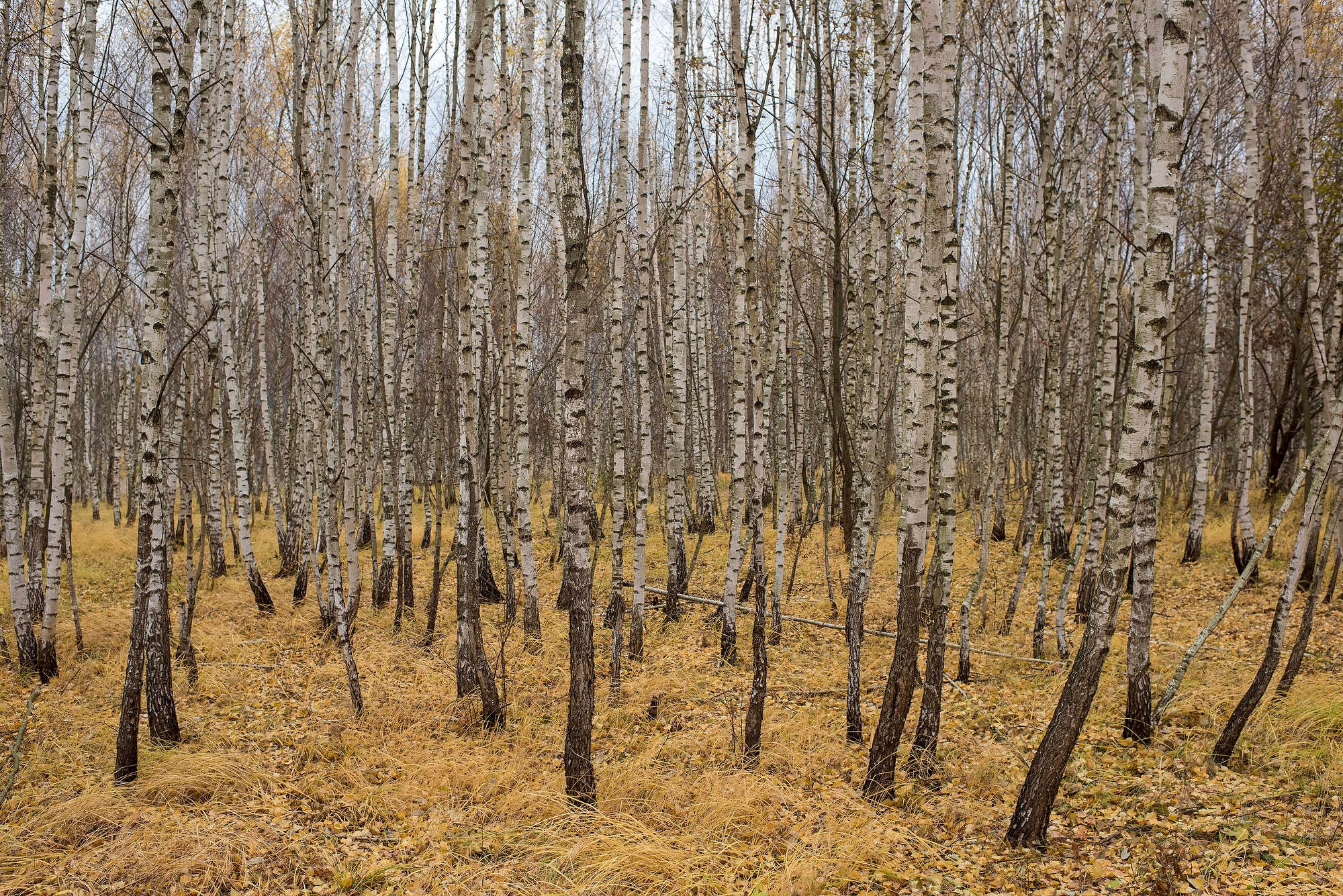 Съемка архитектуры. Фотограф Михаил Мордасов, Сочи. Мероприятия, портреты, спорт, репортаж