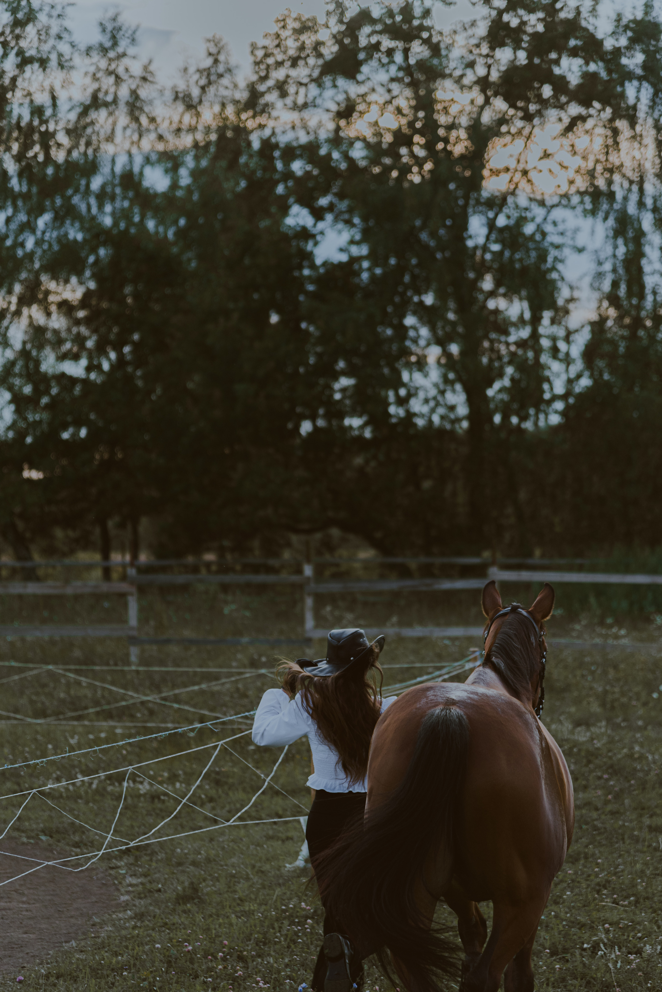 С лошадьми. ФОТОГРАФ СЕРГЕЕВА МАРИЯ