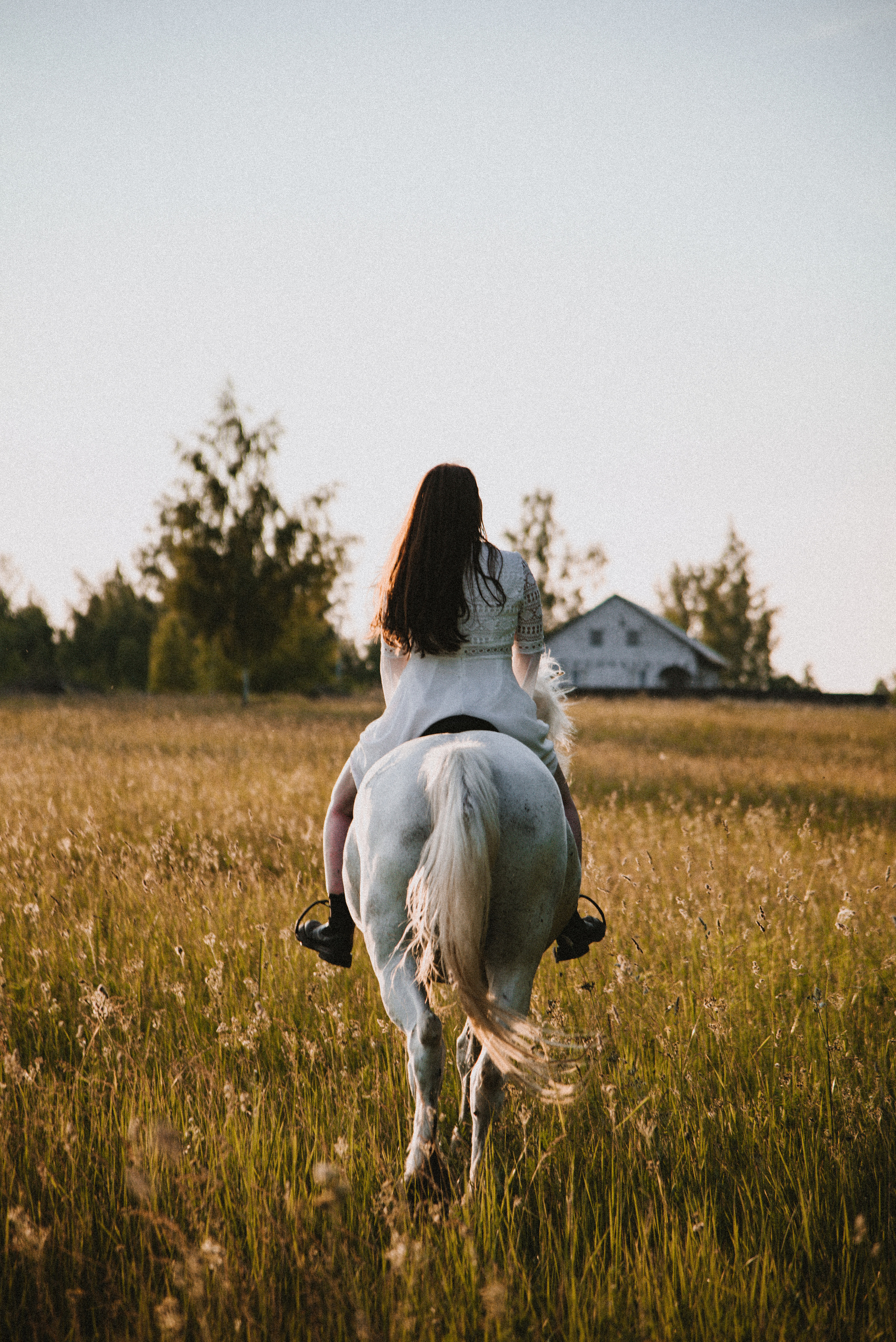 С лошадьми. ФОТОГРАФ СЕРГЕЕВА МАРИЯ