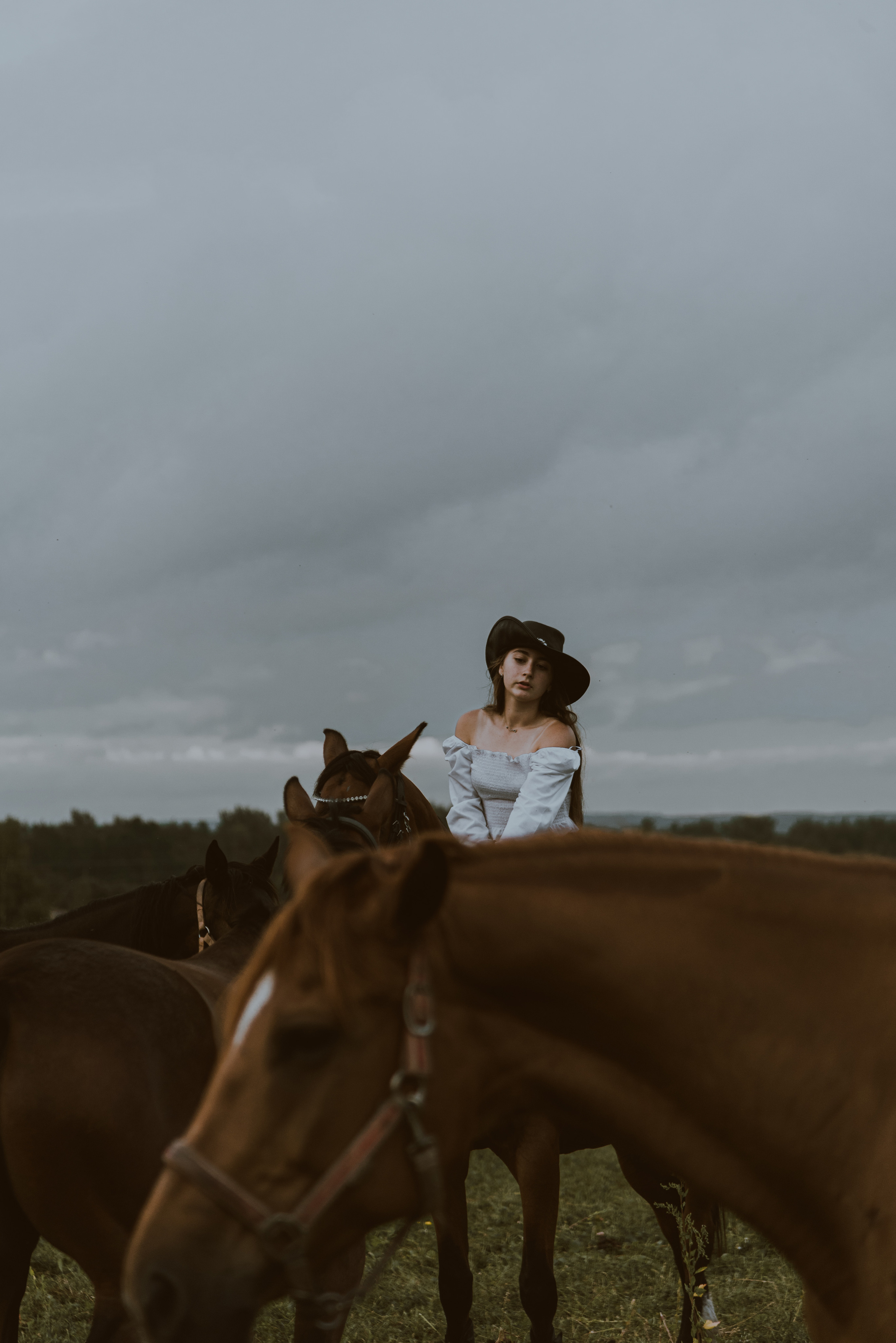 С лошадьми. ФОТОГРАФ СЕРГЕЕВА МАРИЯ