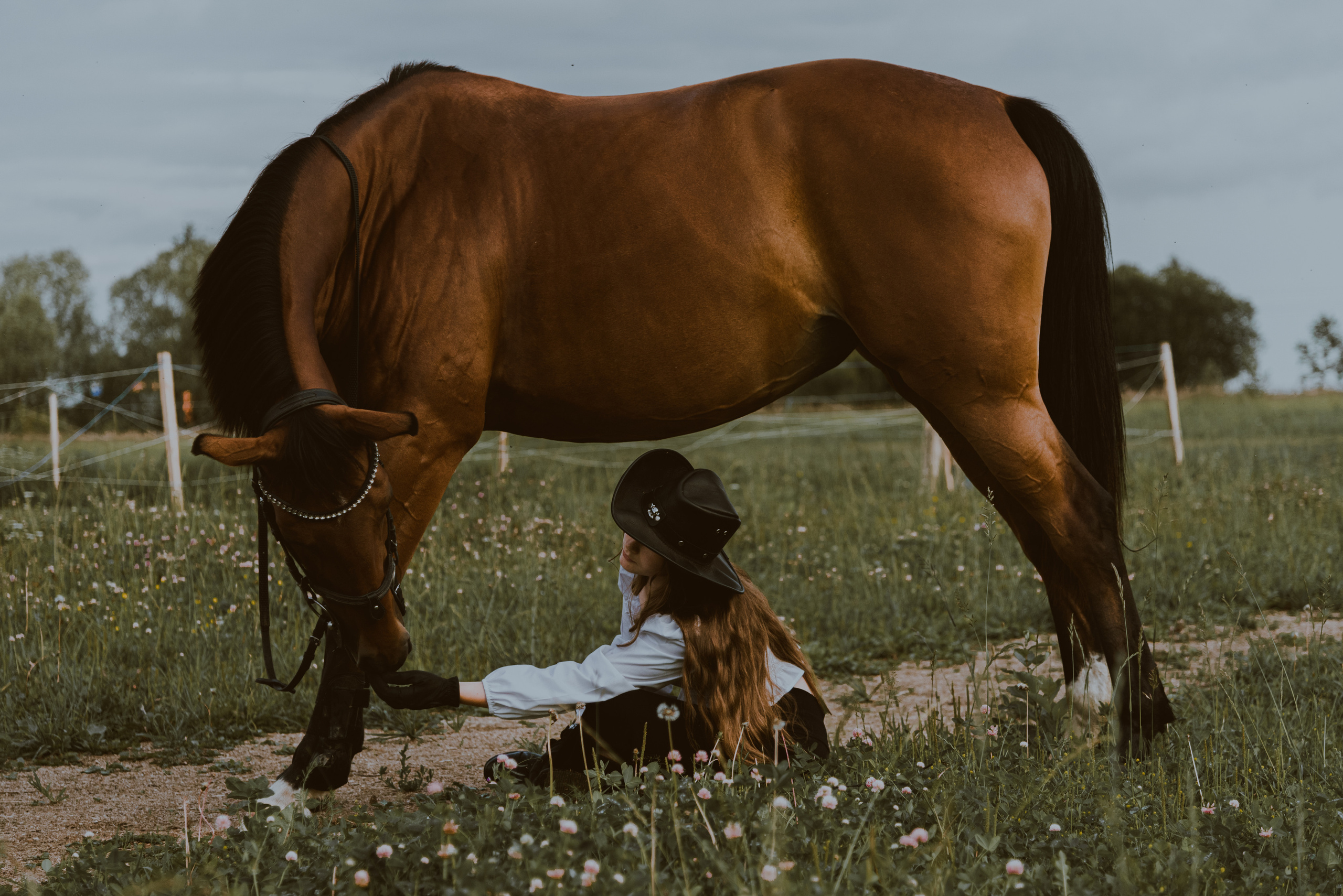 С лошадьми. ФОТОГРАФ СЕРГЕЕВА МАРИЯ