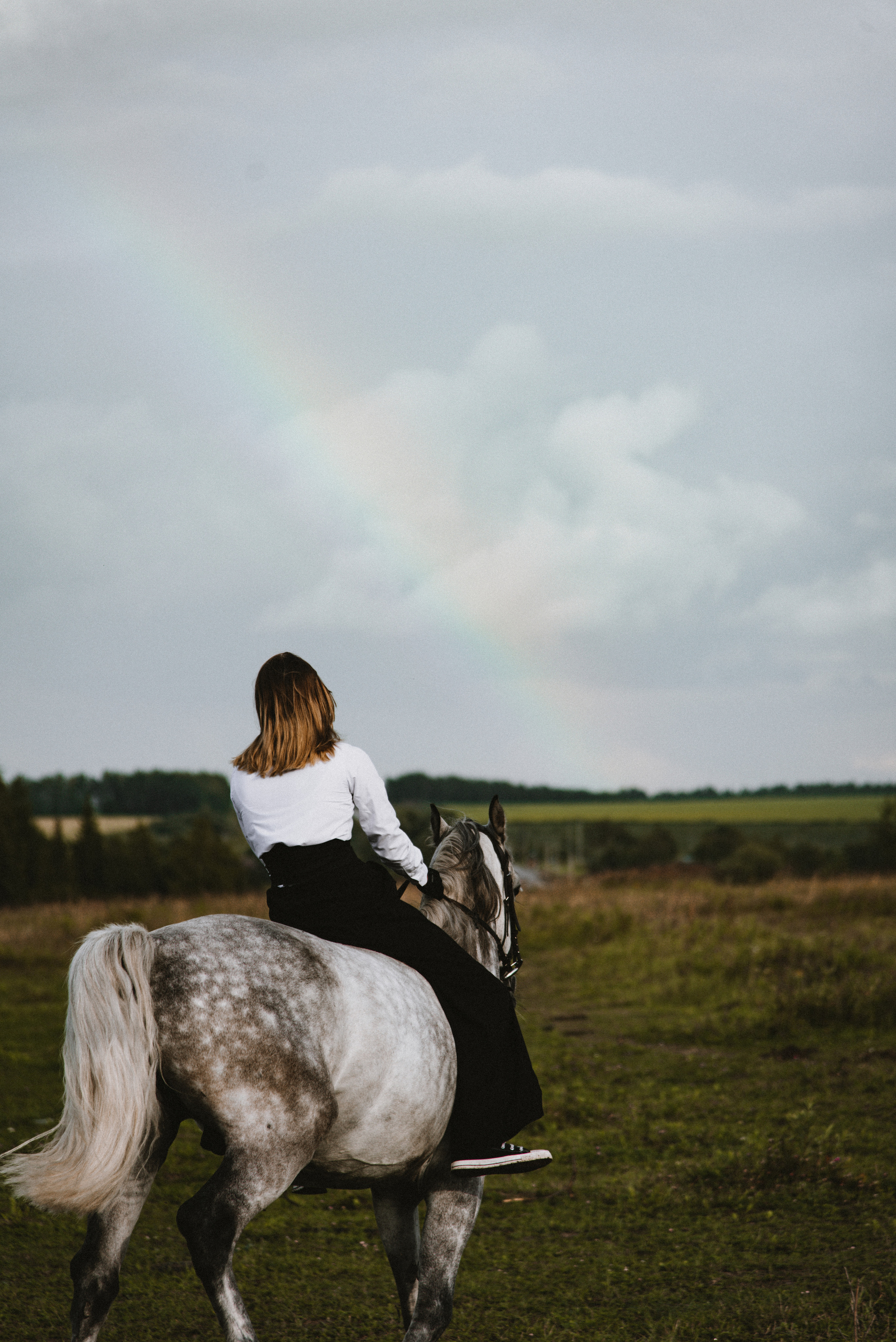 С лошадьми. ФОТОГРАФ СЕРГЕЕВА МАРИЯ