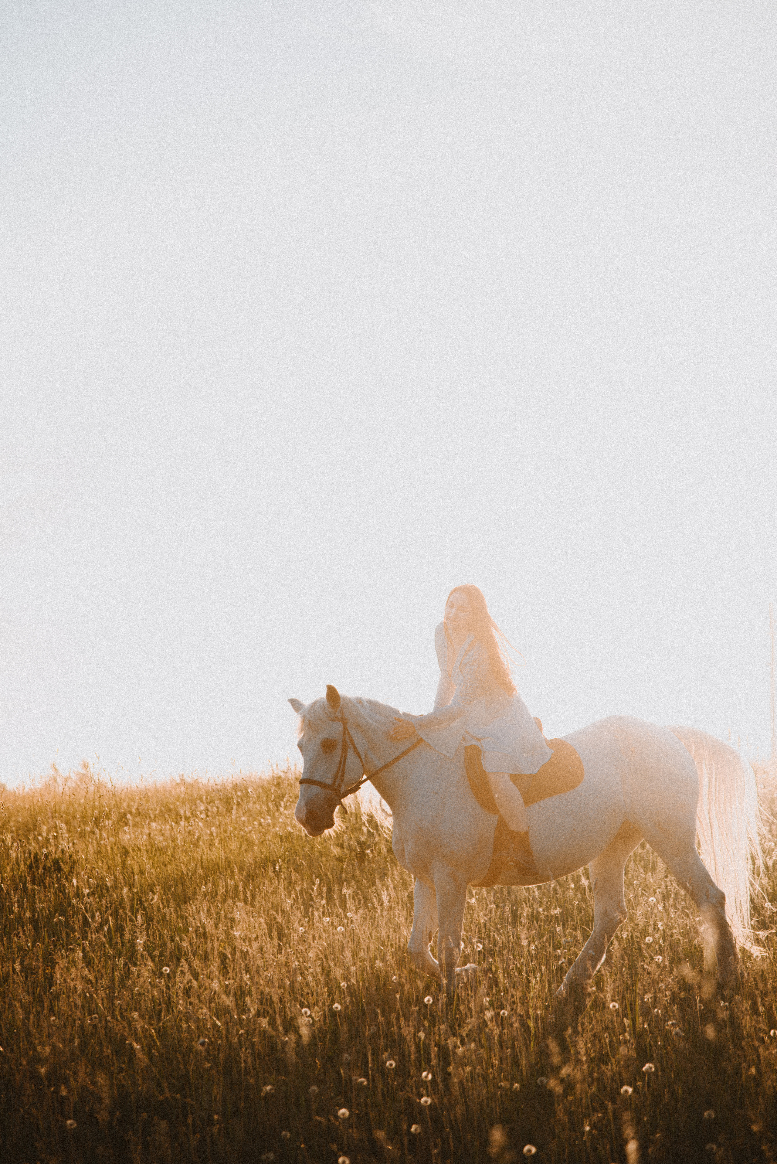С лошадьми. ФОТОГРАФ СЕРГЕЕВА МАРИЯ