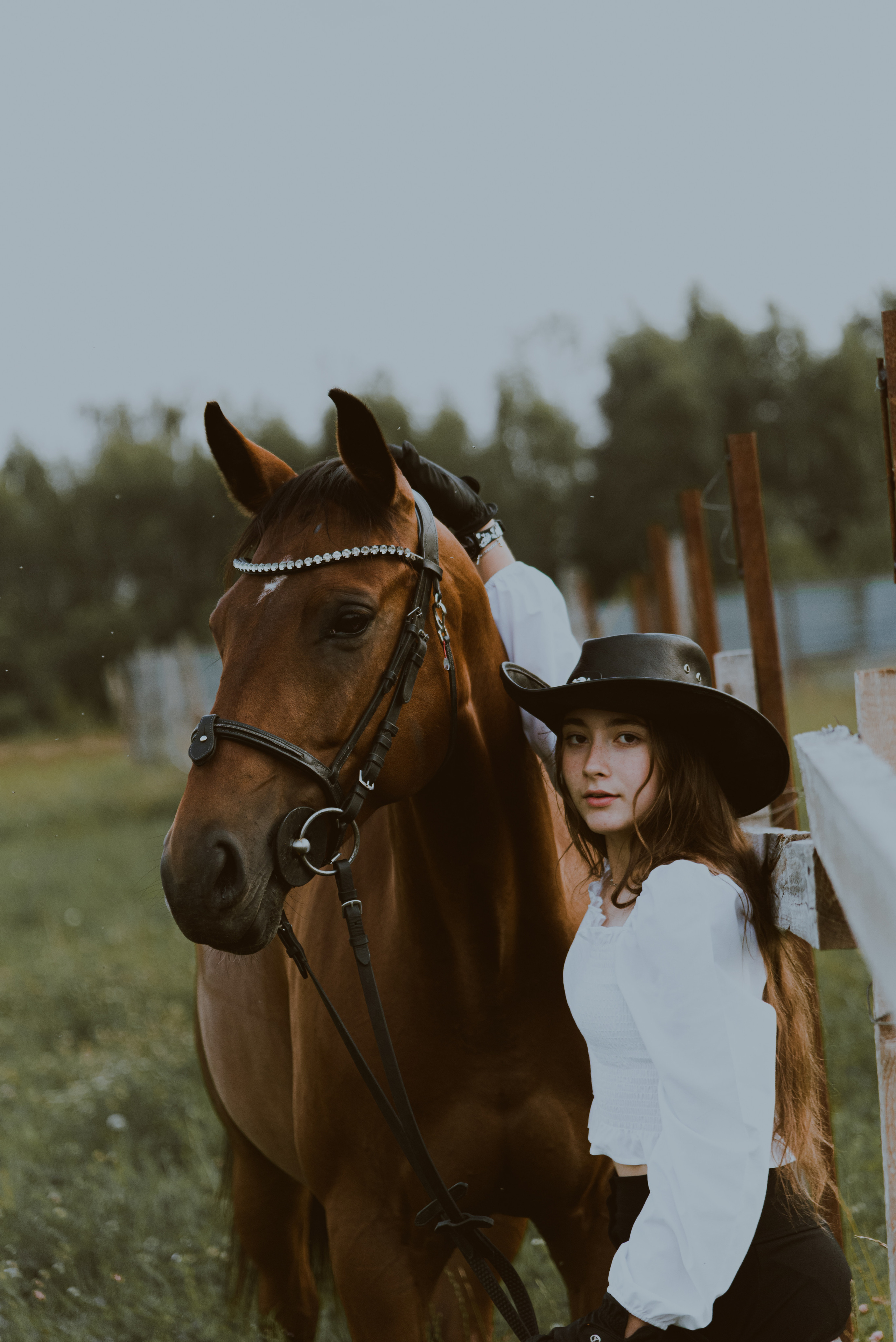 С лошадьми. ФОТОГРАФ СЕРГЕЕВА МАРИЯ