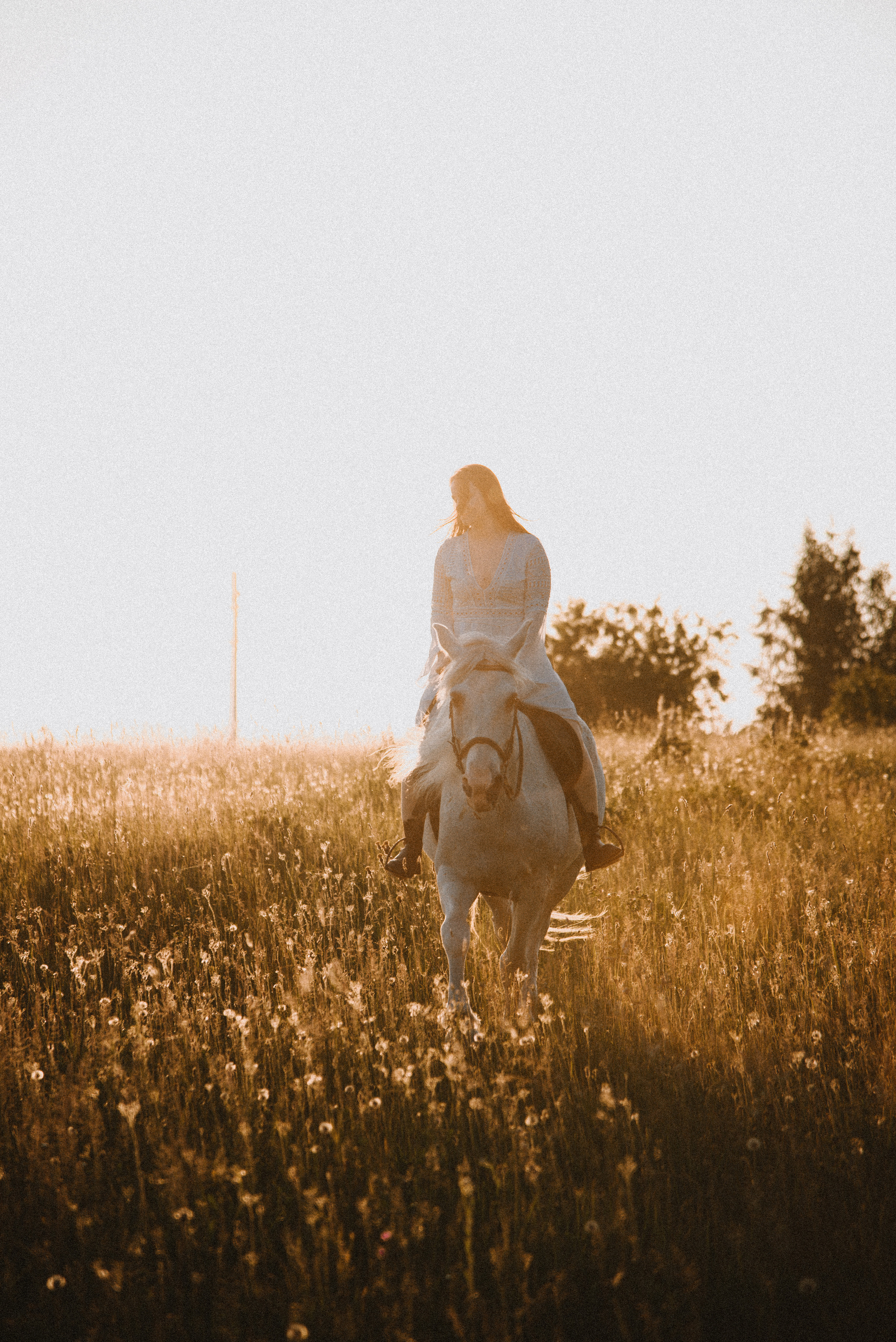 С лошадьми. ФОТОГРАФ СЕРГЕЕВА МАРИЯ