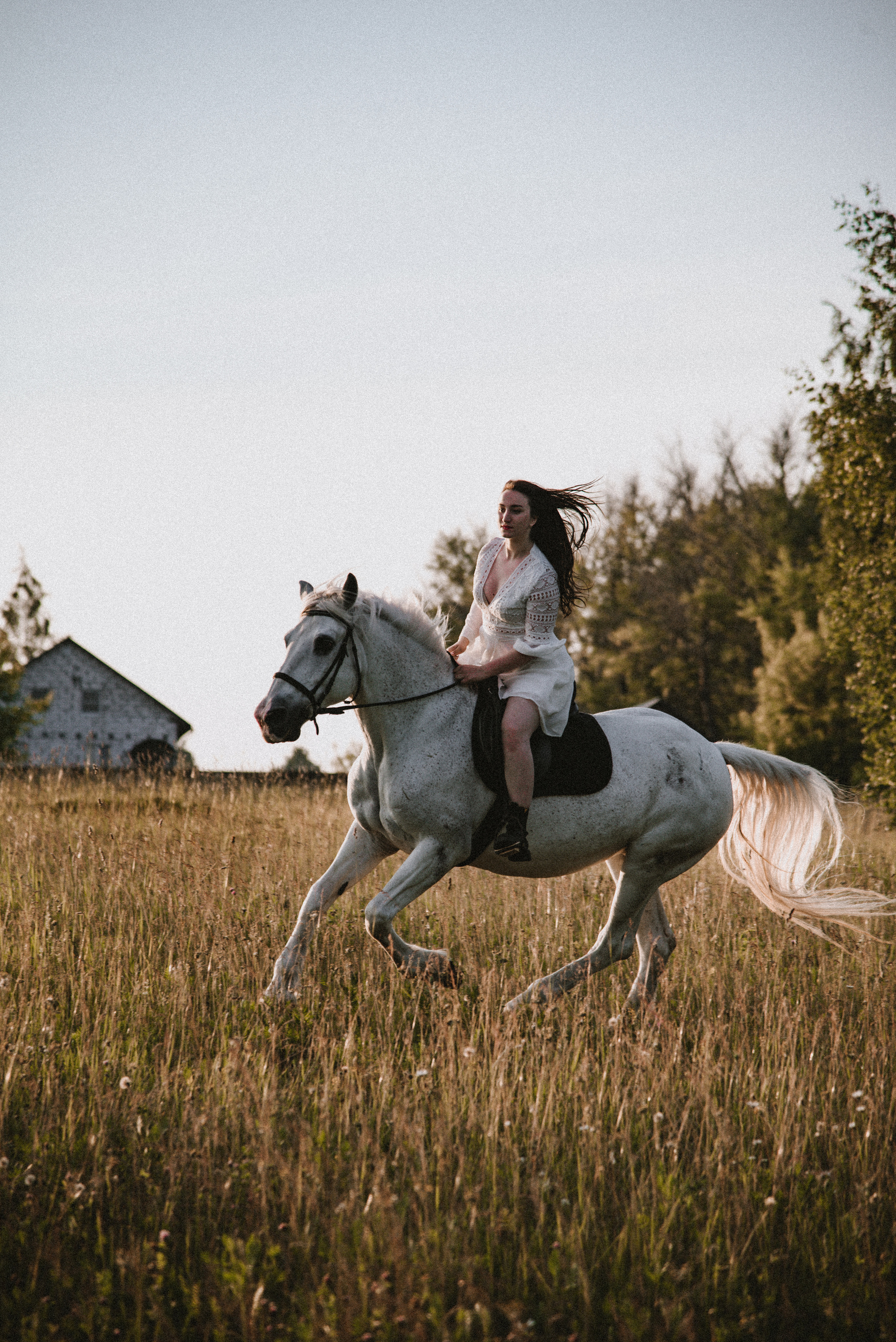 С лошадьми. ФОТОГРАФ СЕРГЕЕВА МАРИЯ