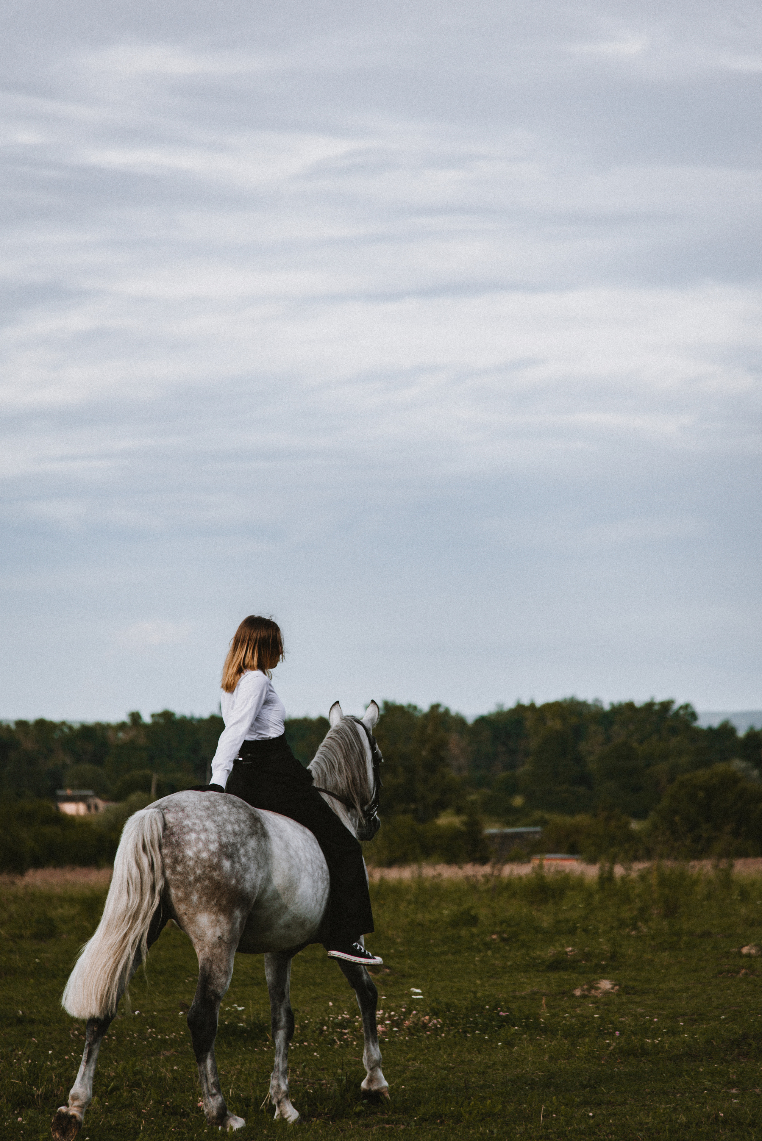 С лошадьми. ФОТОГРАФ СЕРГЕЕВА МАРИЯ