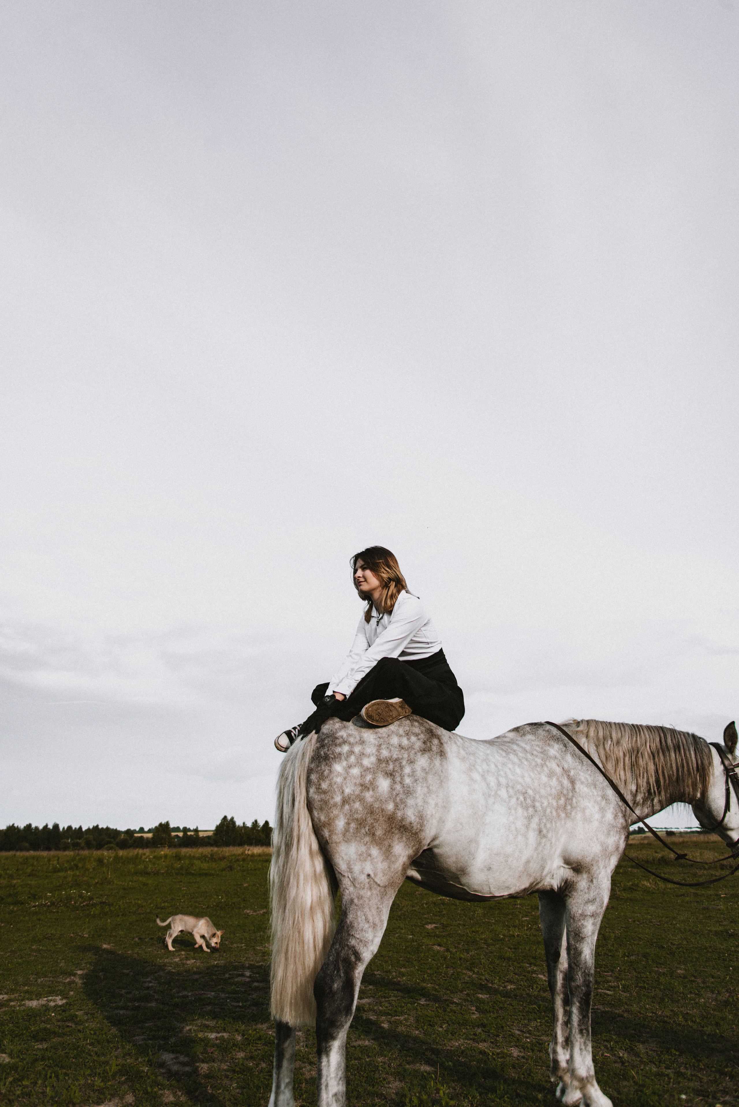 С лошадьми. ФОТОГРАФ СЕРГЕЕВА МАРИЯ