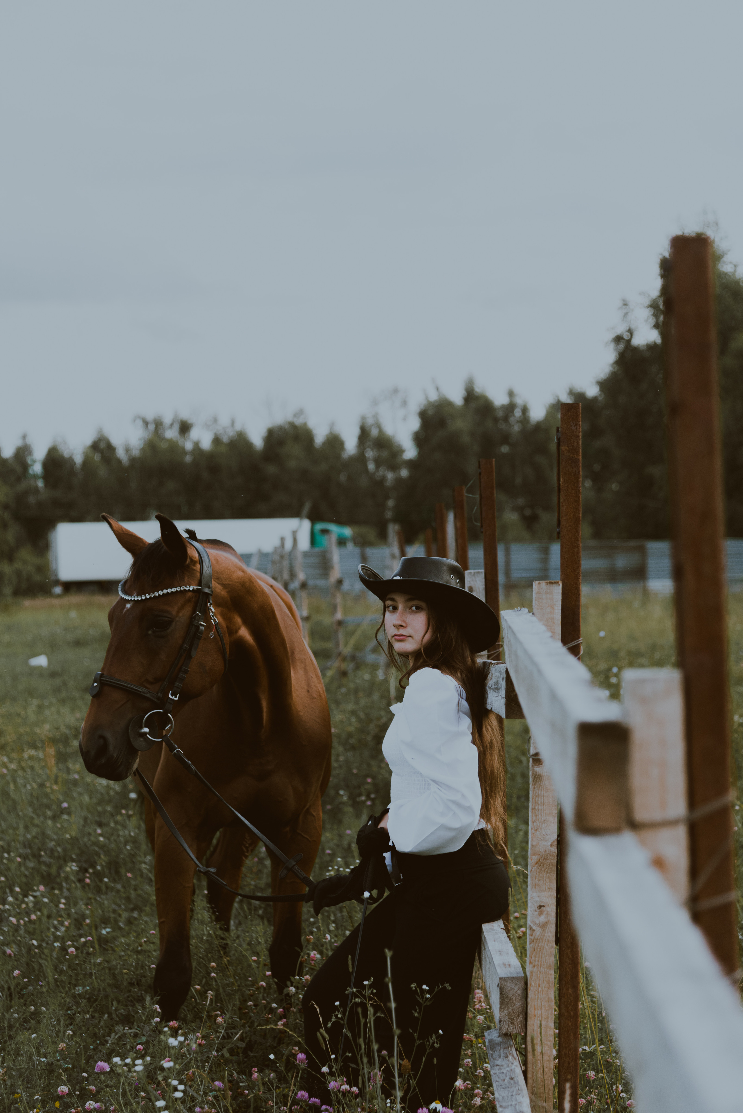 С лошадьми. ФОТОГРАФ СЕРГЕЕВА МАРИЯ