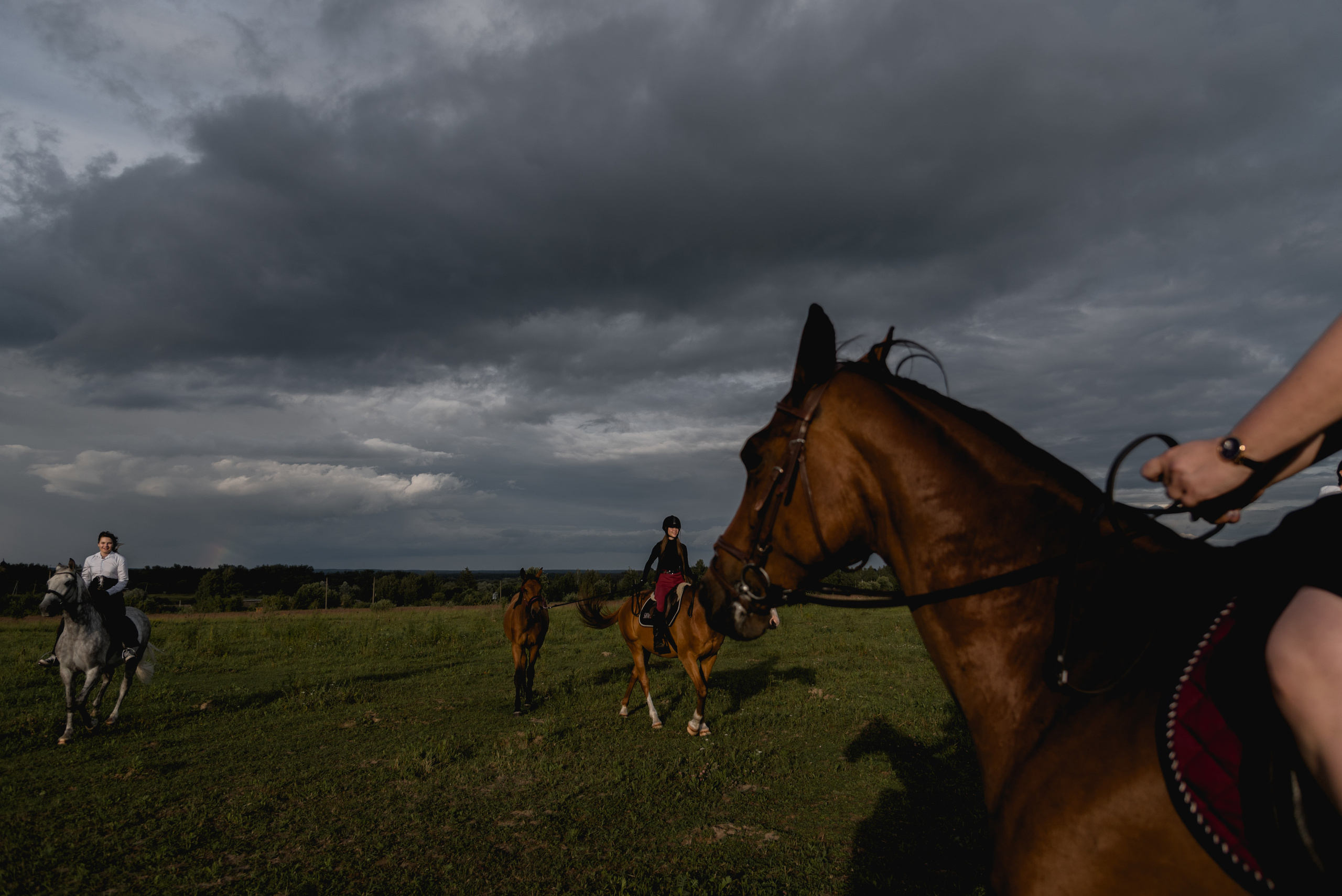 С лошадьми. ФОТОГРАФ СЕРГЕЕВА МАРИЯ