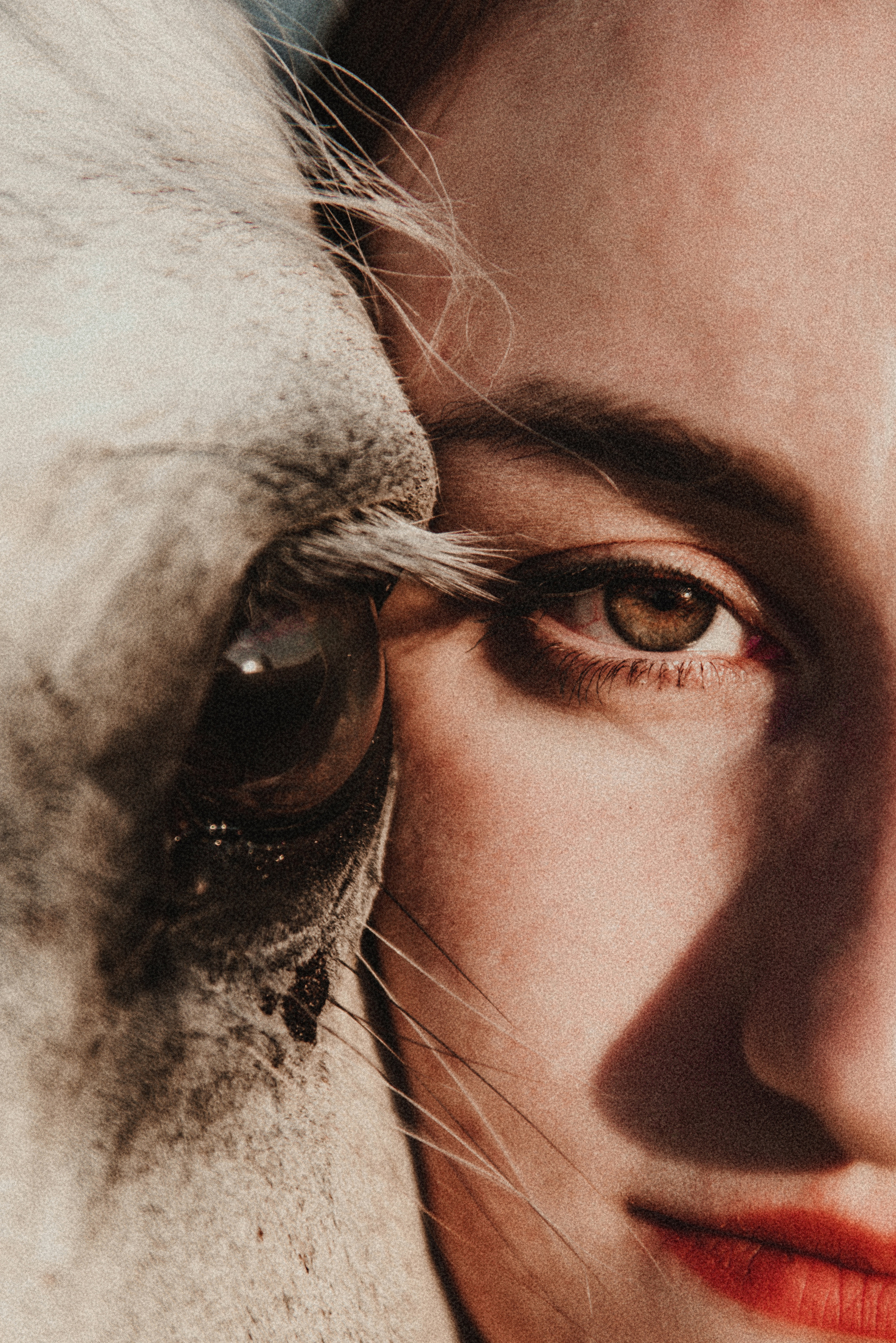 С лошадьми. ФОТОГРАФ СЕРГЕЕВА МАРИЯ