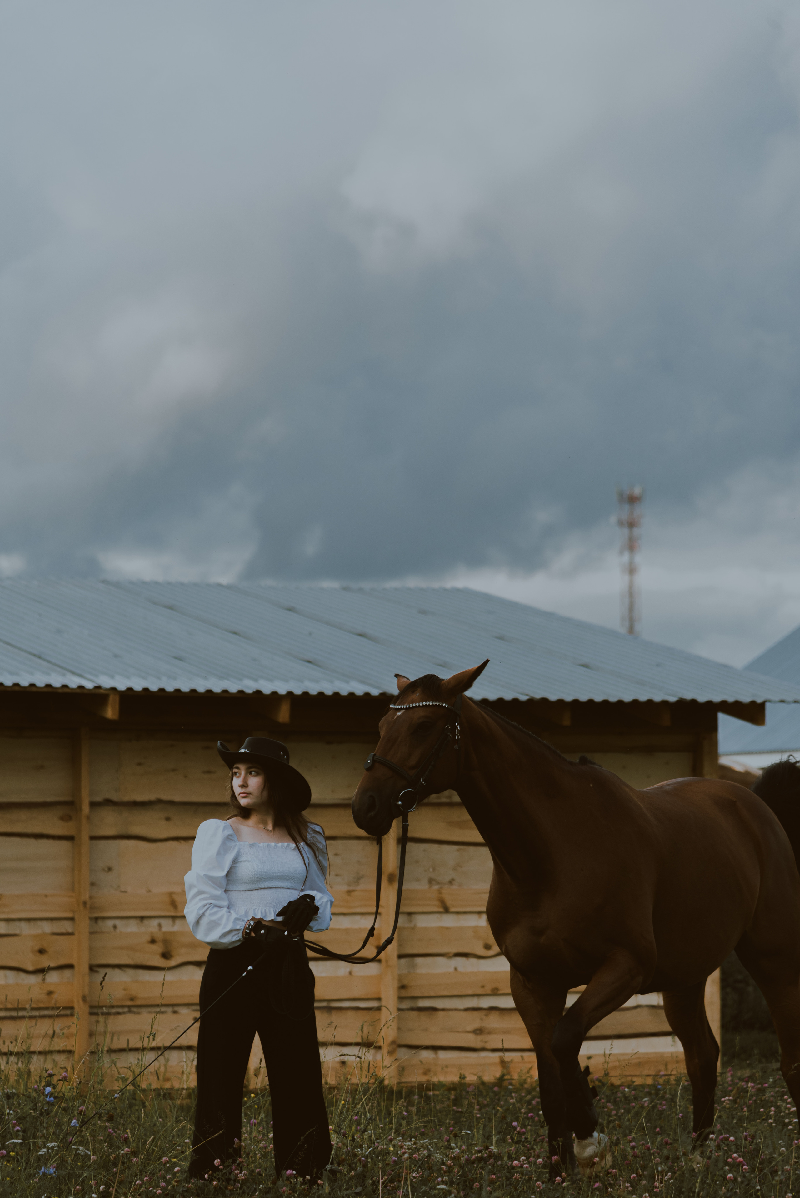 С лошадьми. ФОТОГРАФ СЕРГЕЕВА МАРИЯ