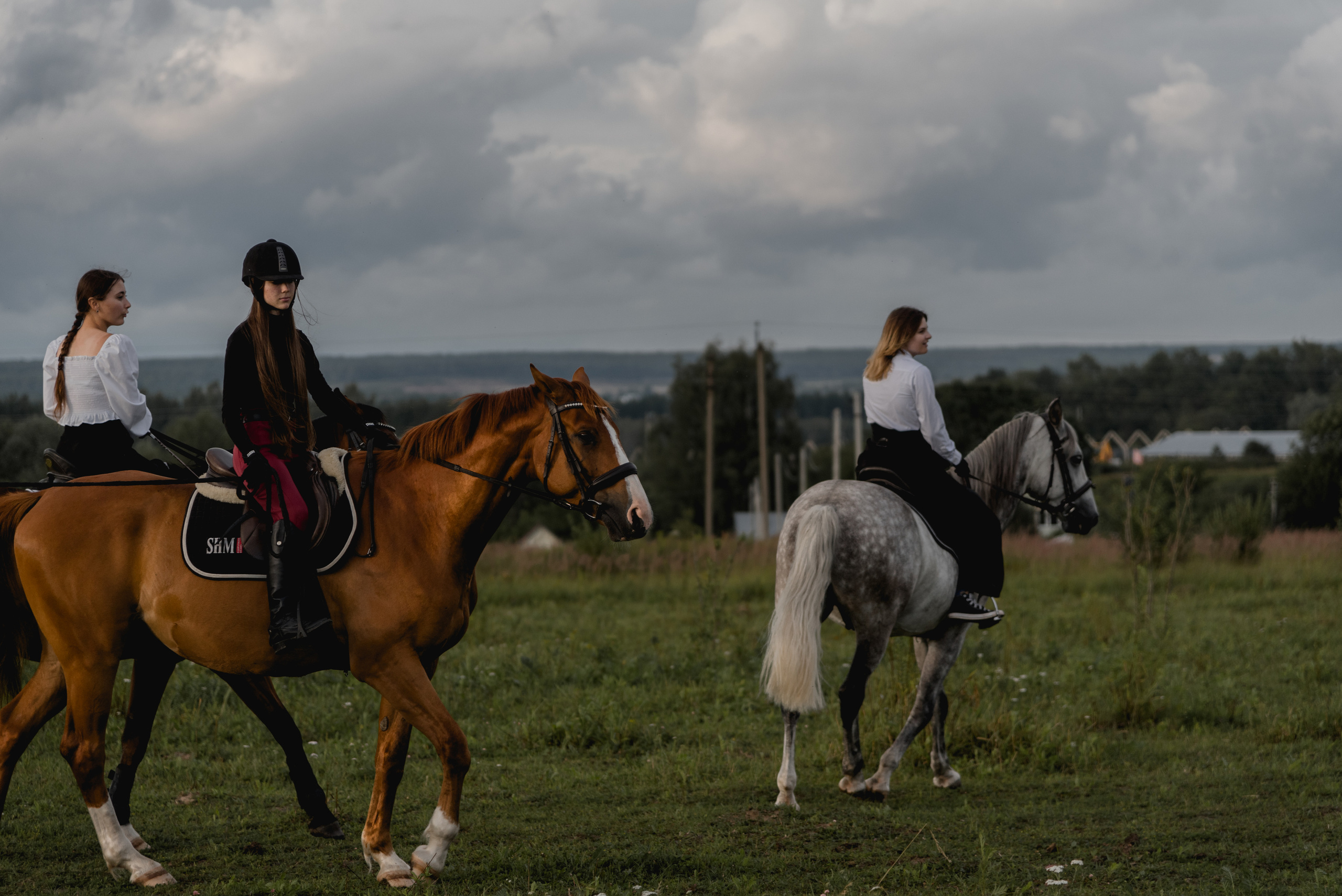 С лошадьми. ФОТОГРАФ СЕРГЕЕВА МАРИЯ