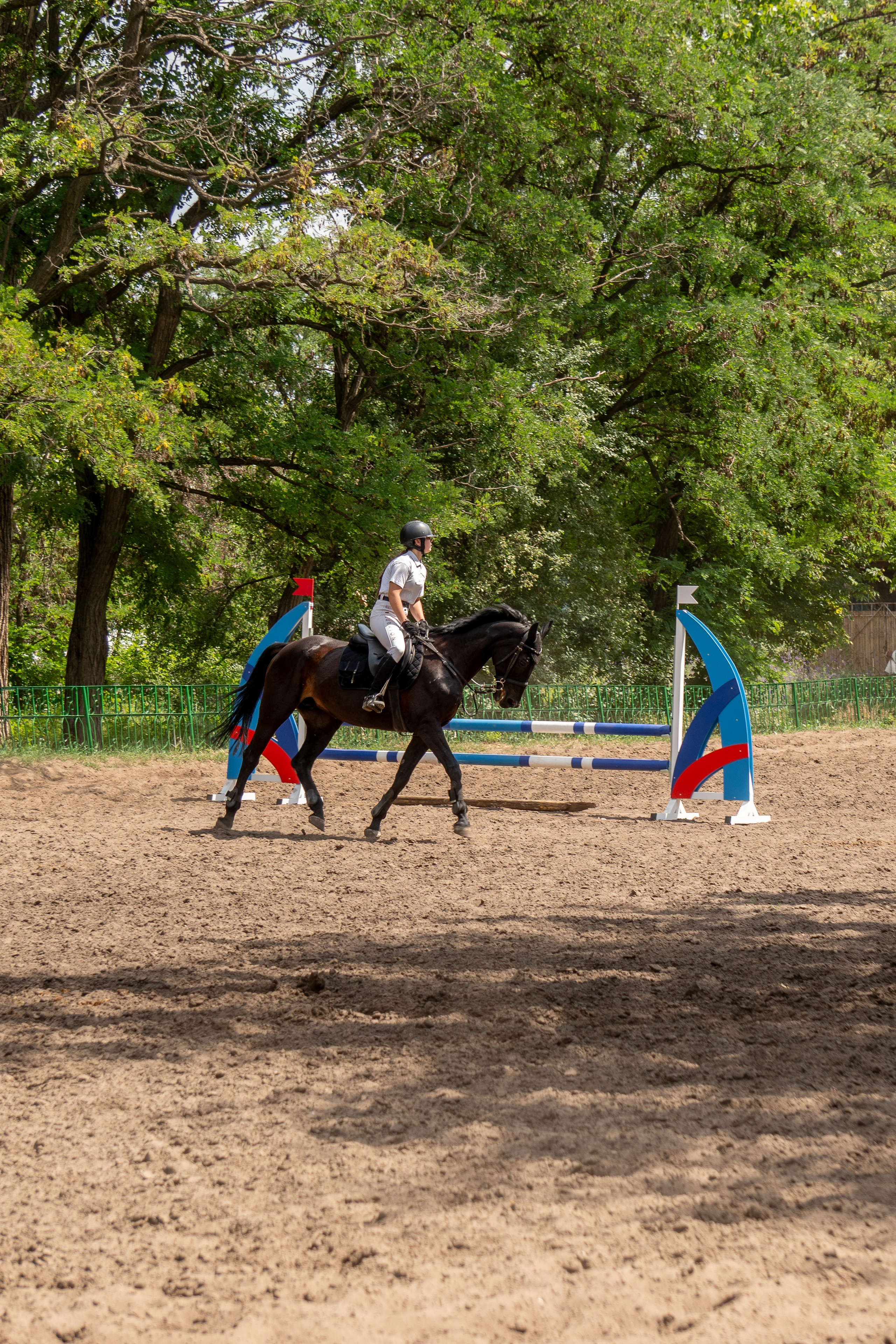Соревнования по конкуру, Луганск. Фотограф в РФ и ЛНР Юлия Федосеева