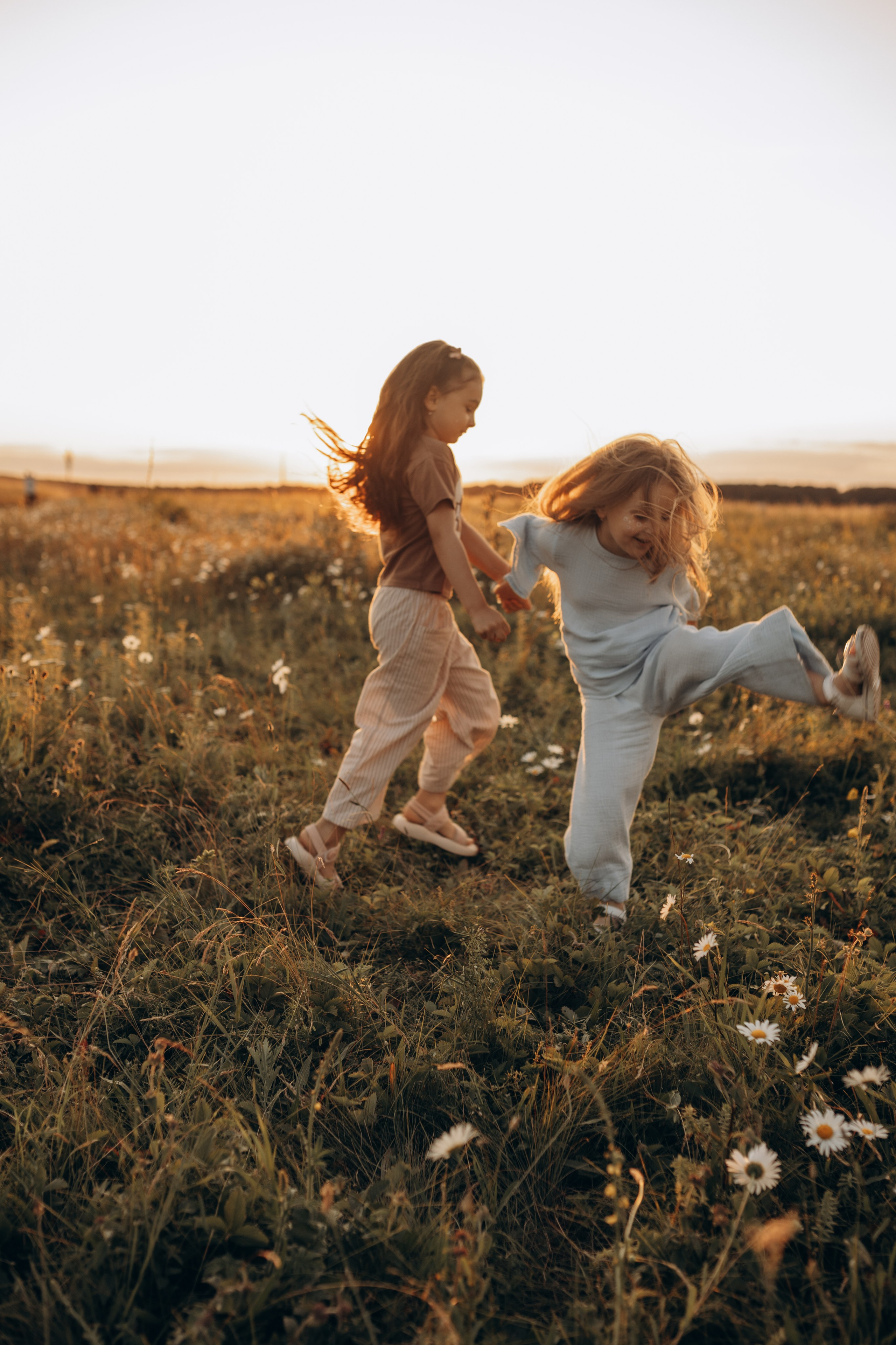 Закат на ромашковом поле. Фотограф в Ставрополе Svetlana Matveeva
