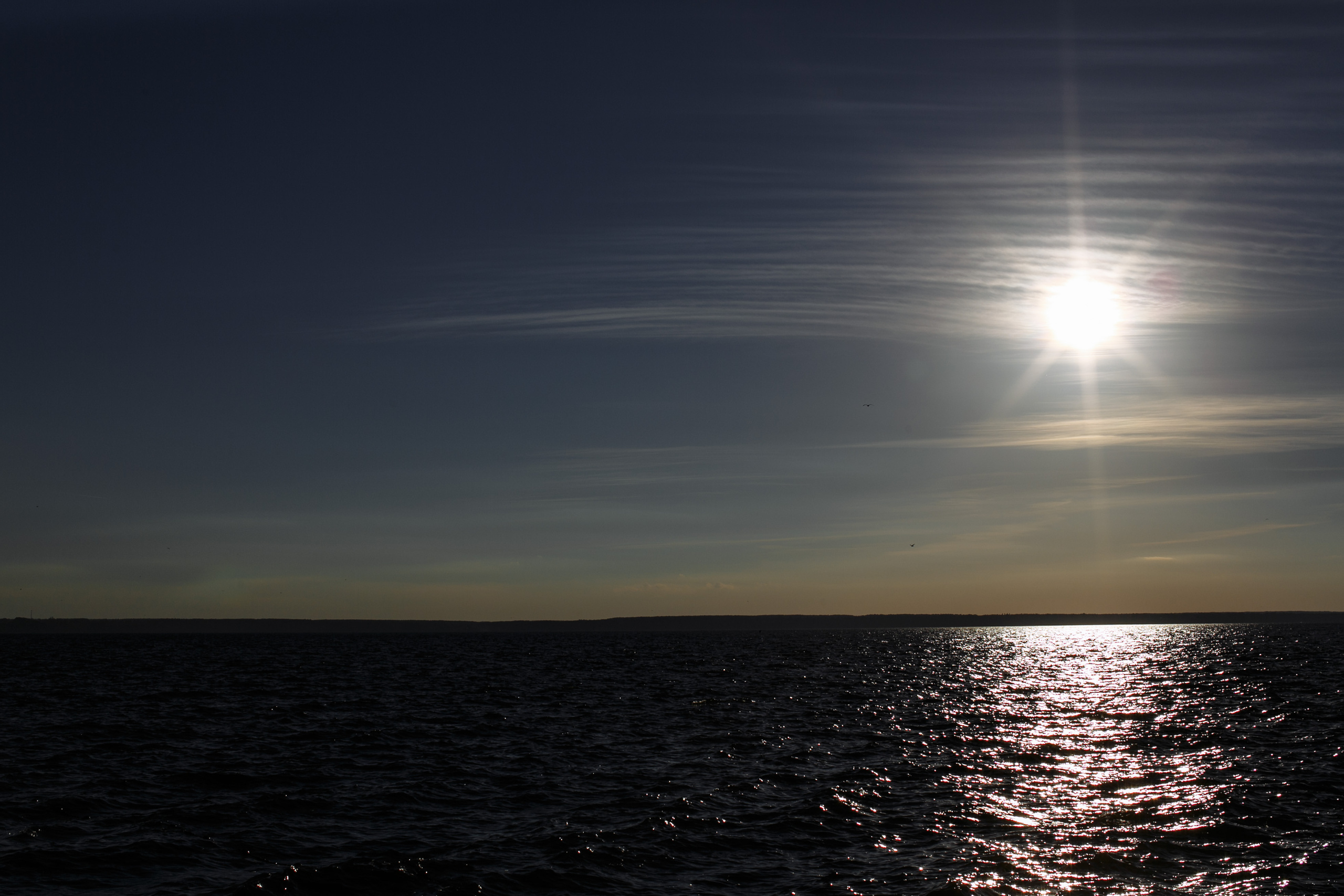Свадебный фотограф Нижний Новгород. Свадебный фотограф в Нижнем Новгороде — Эдуард Смирнов