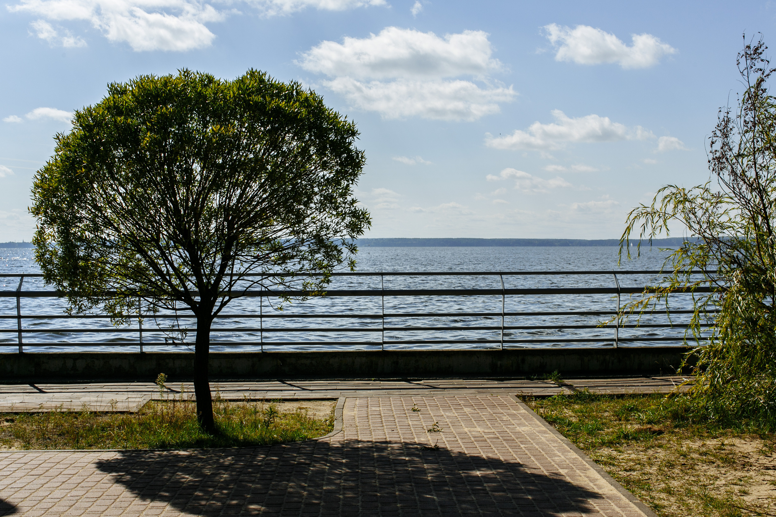 Свадебный фотограф Нижний Новгород. Свадебный фотограф в Нижнем Новгороде — Эдуард Смирнов