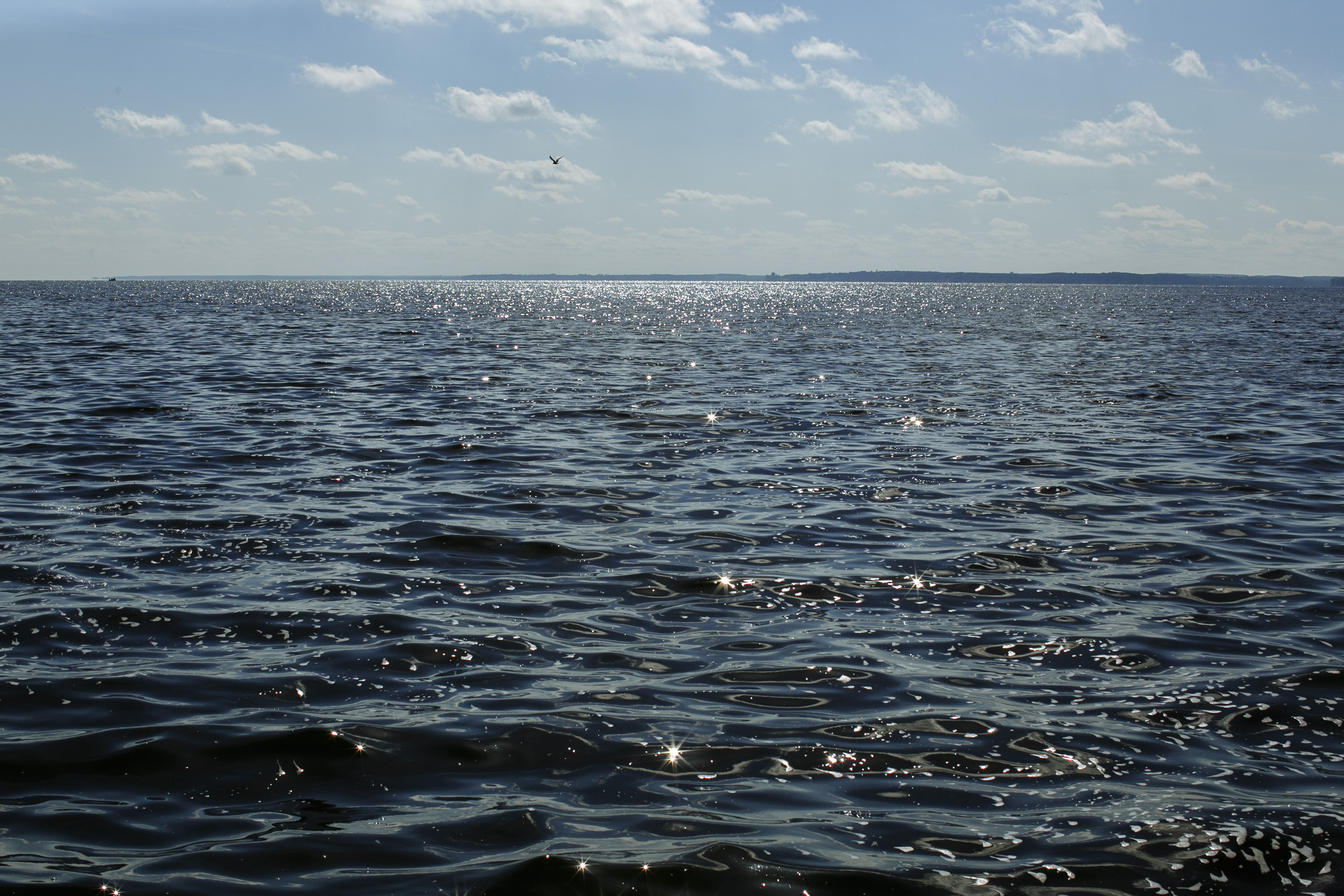 Свадебный фотограф Нижний Новгород. Свадебный фотограф в Нижнем Новгороде — Эдуард Смирнов